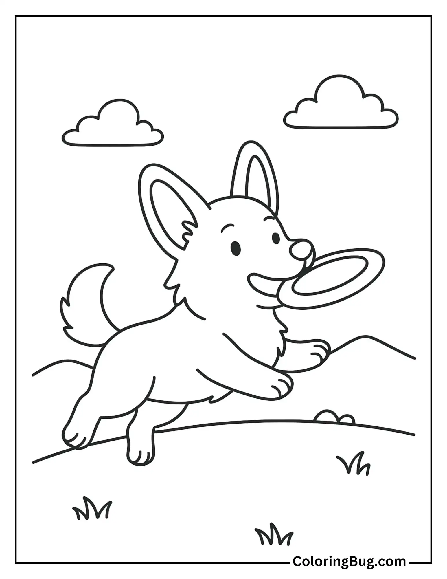 Corgi Playing Fetch with a Frisbee in an Open Field Coloring Sheet