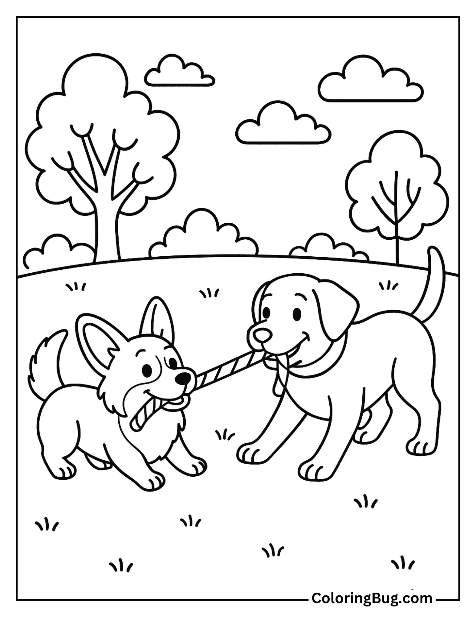 Corgi Playing Tug-Of-War with a Labrador Coloring Sheet