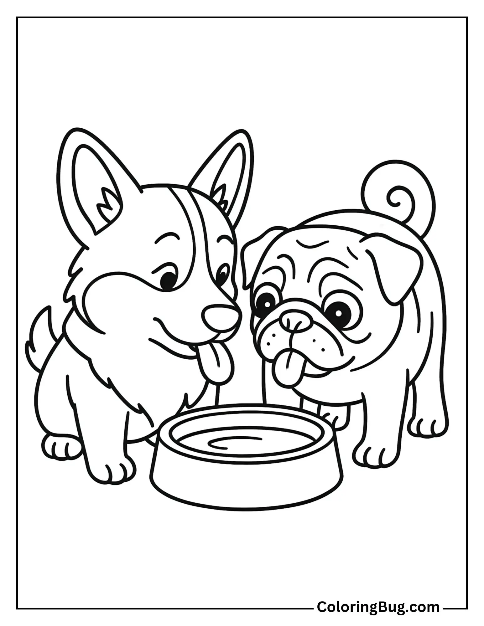 Corgi Sharing a Water Bowl with a Friendly Pug Coloring Sheet