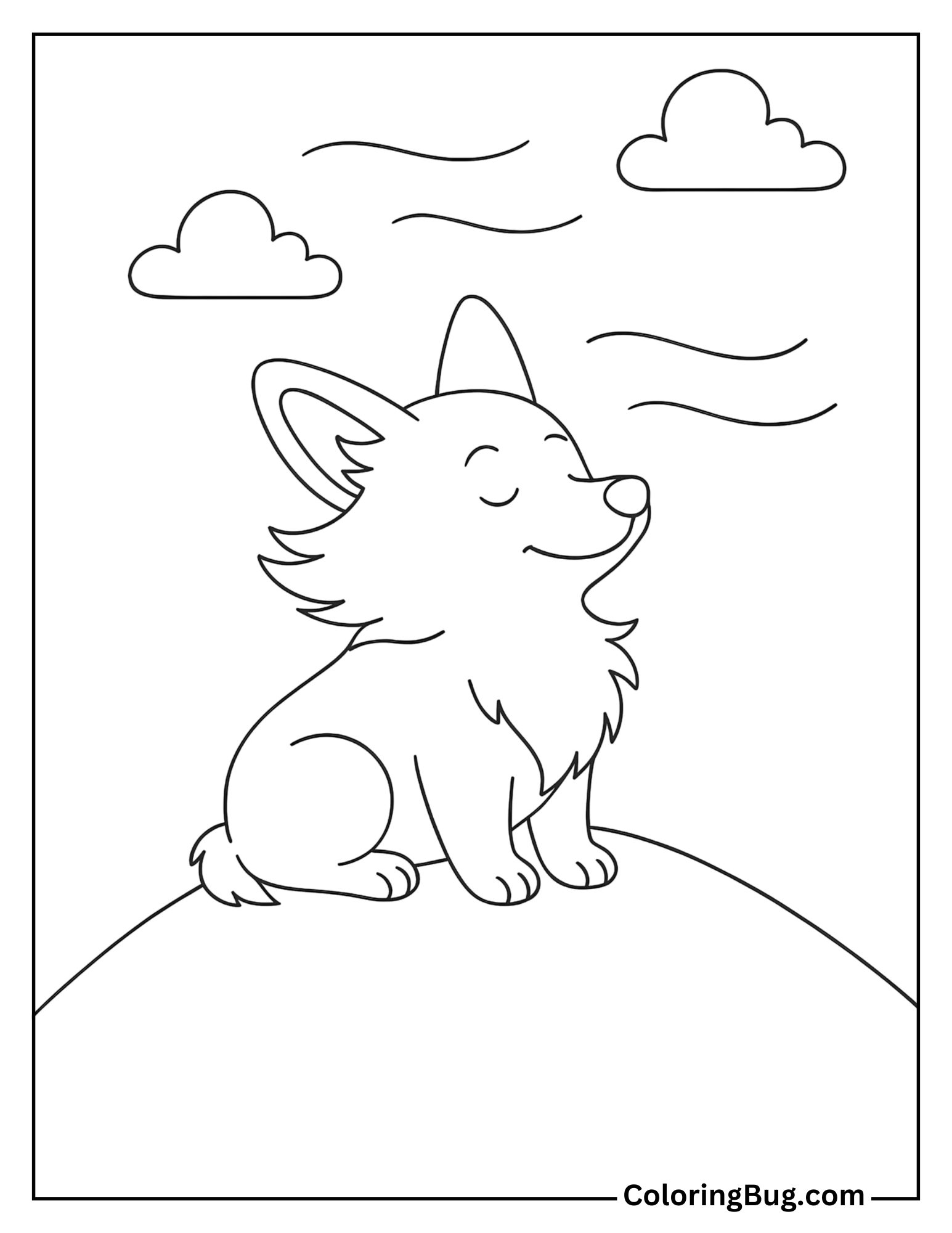 Corgi Sitting on a Top Hill with the Wind Blowing Through its Fur Coloring Sheet