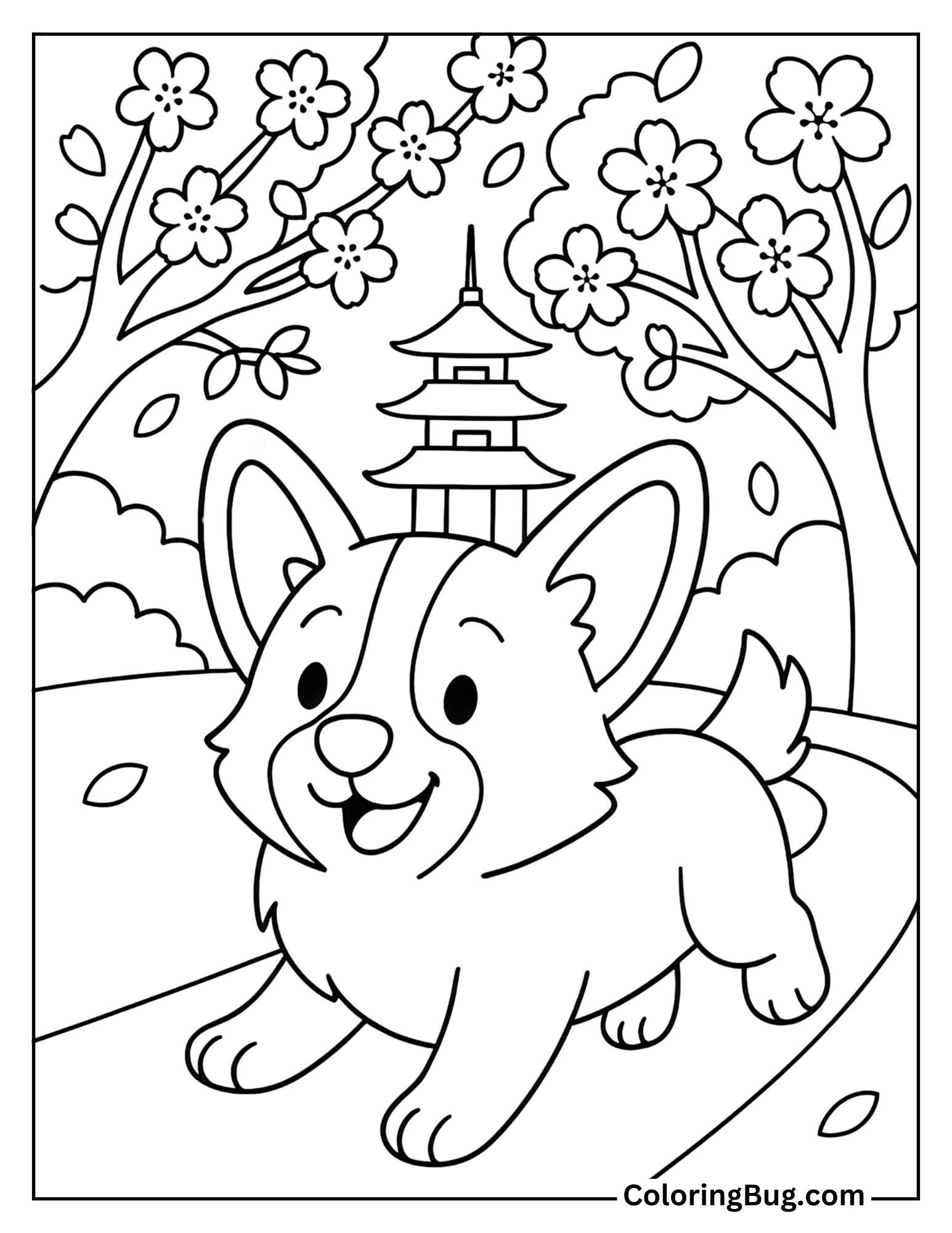 Corgi Walking Near Cherry Blossoms Coloring Sheet