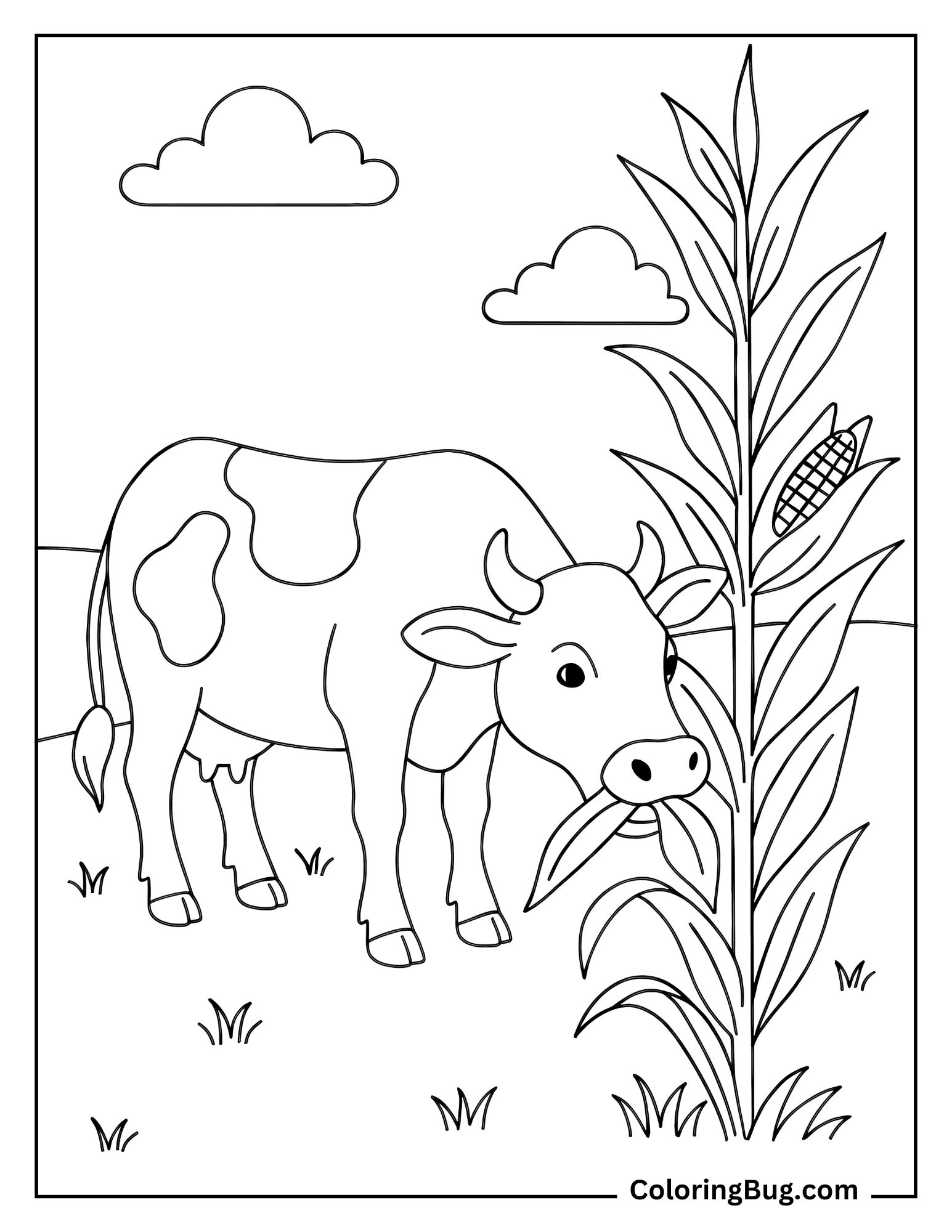 Cow Eating Corn Husks in the Field Coloring Sheet