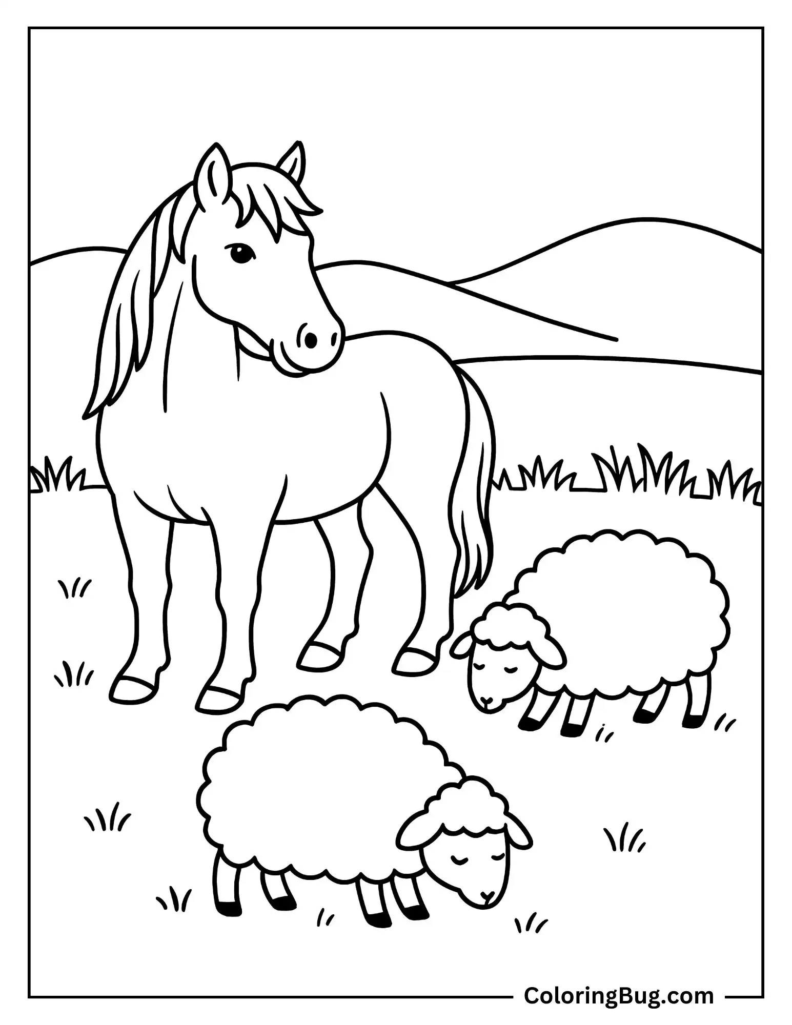 Criollo Horse Standing Near With Grazing Sheep Coloring Sheet