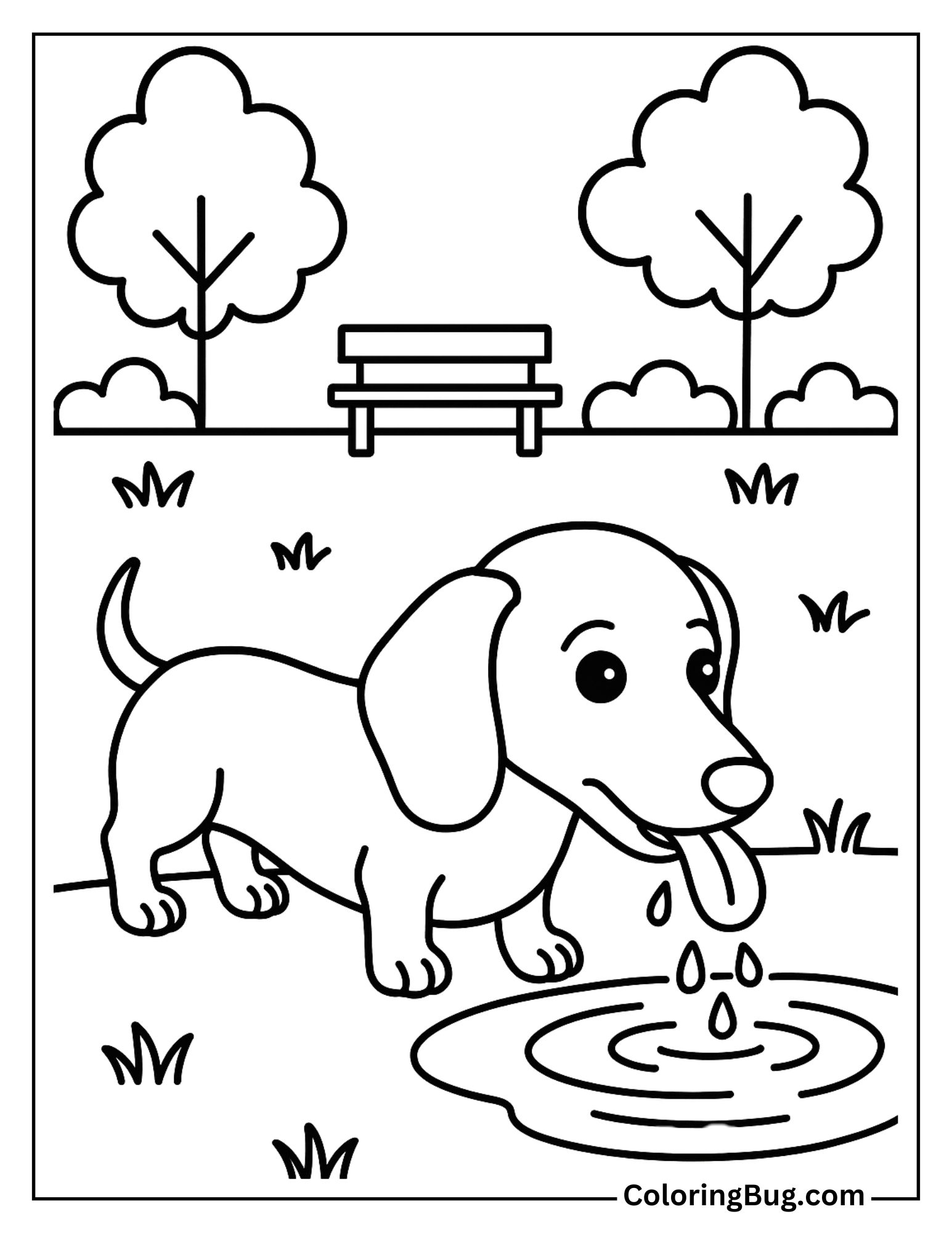 Dachshund Drinking Water with its Tongue Lapping Up Droplets Coloring Sheet