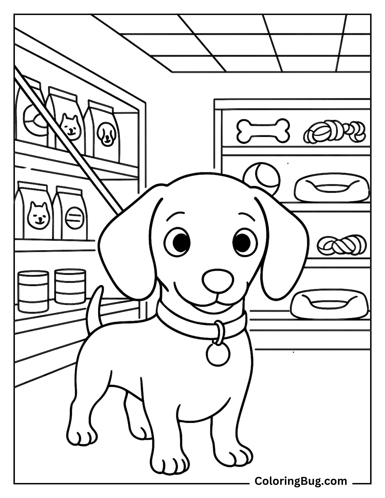 Dachshund Puppy at the Pet Store coloring Sheet