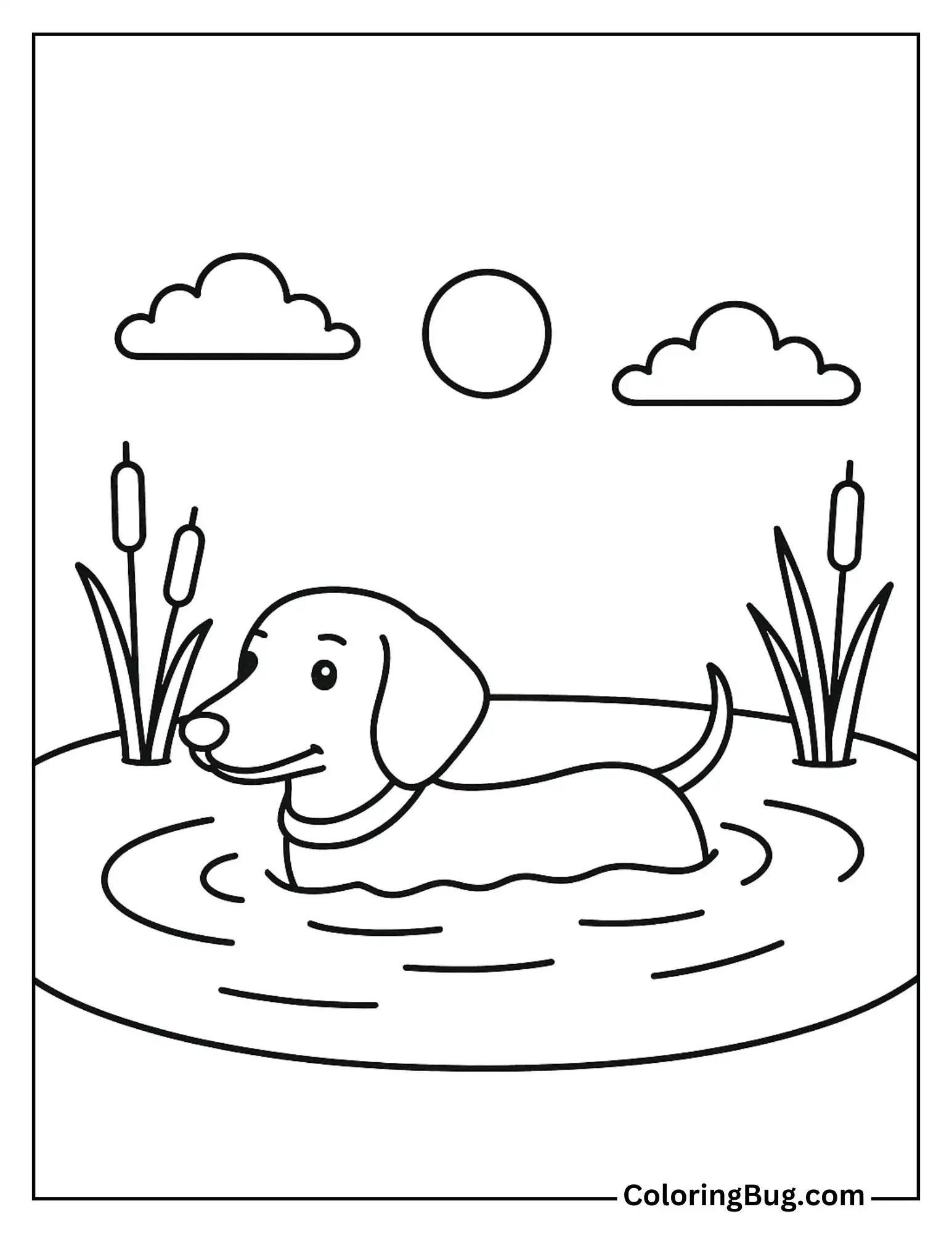 Dachshund Swimming in a Shallow Pond Coloring Sheet