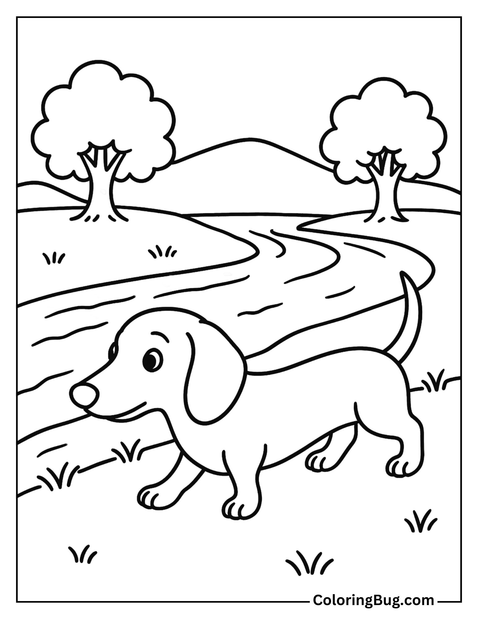 Dachshund Walking Alongside a River Bank Coloring Sheet