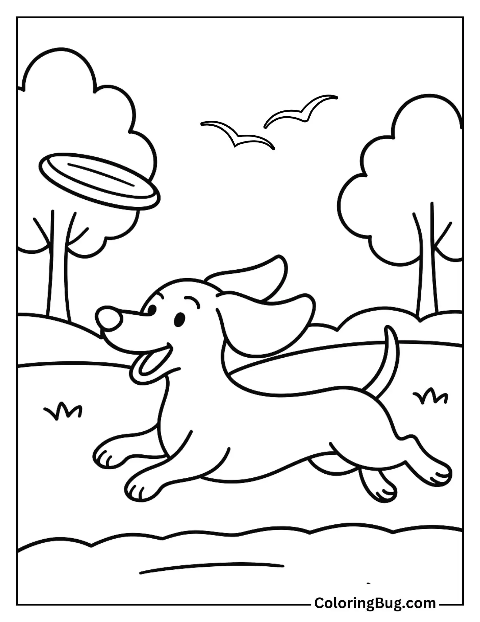 Dachshund running after a frisbee in the park Coloring Sheet