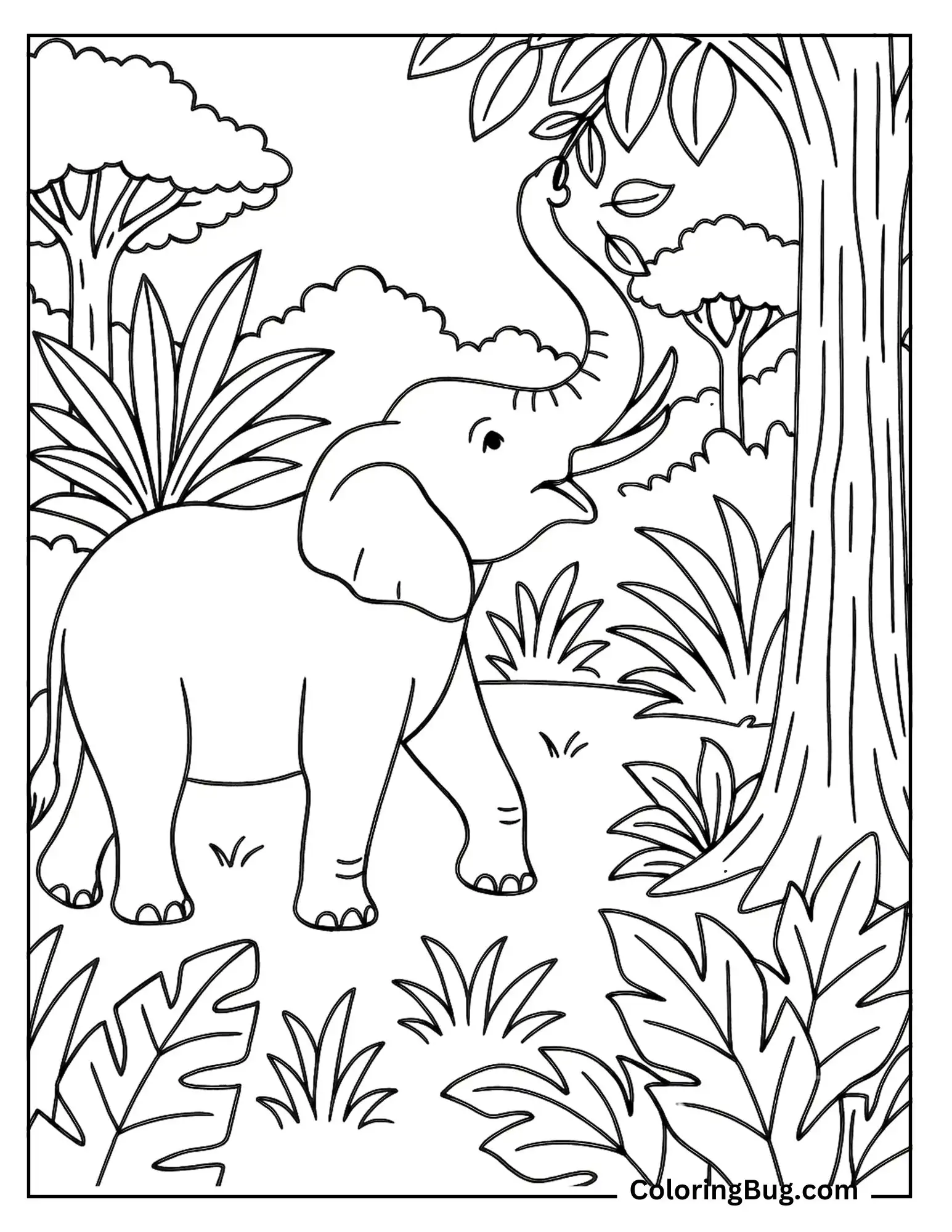Elephant Pulling Leaves From a Tall Tree in the Jungle Coloring Sheet