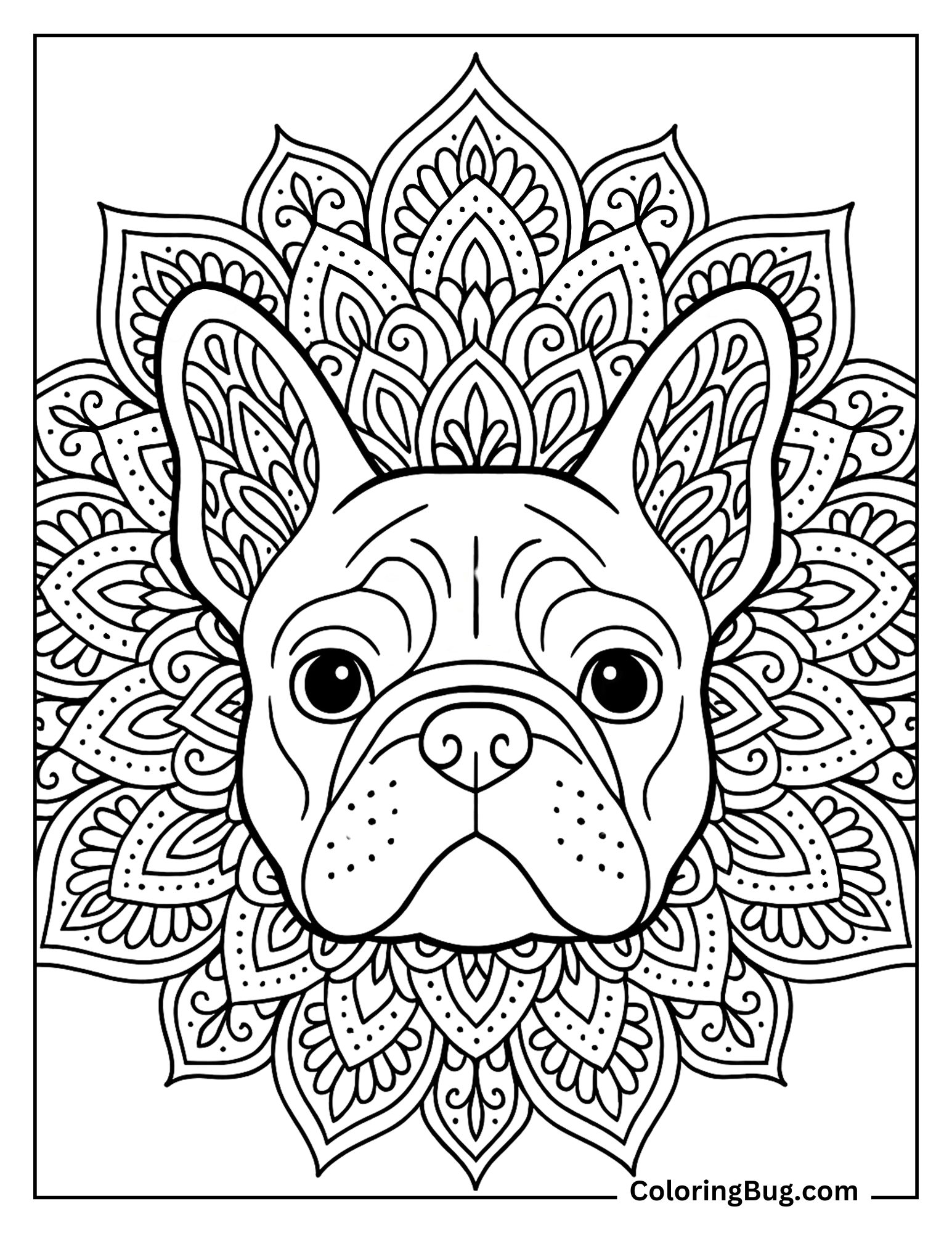 French Bulldog Mandala Face Coloring Sheet