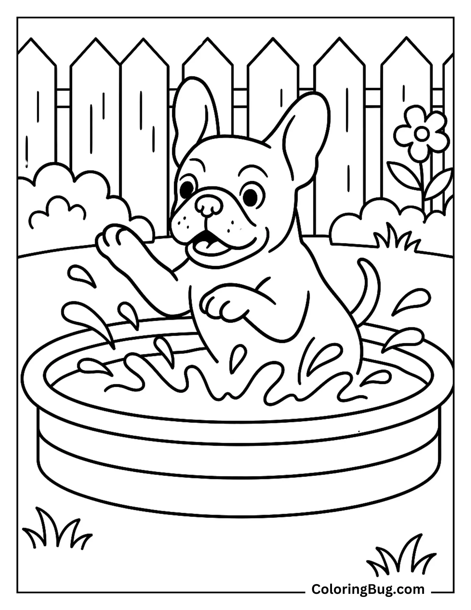 French Bulldog Splashing Water in Kiddie Pool Coloring Sheet