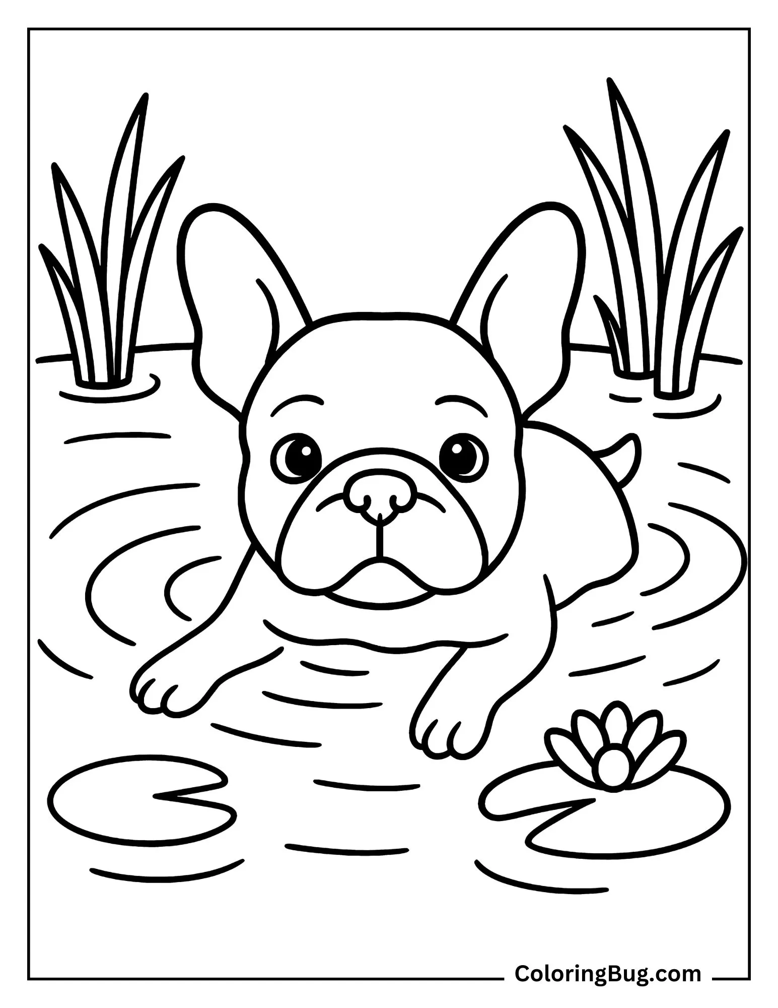 French Bulldog Swimming in a Shallow Pond Coloring Sheet