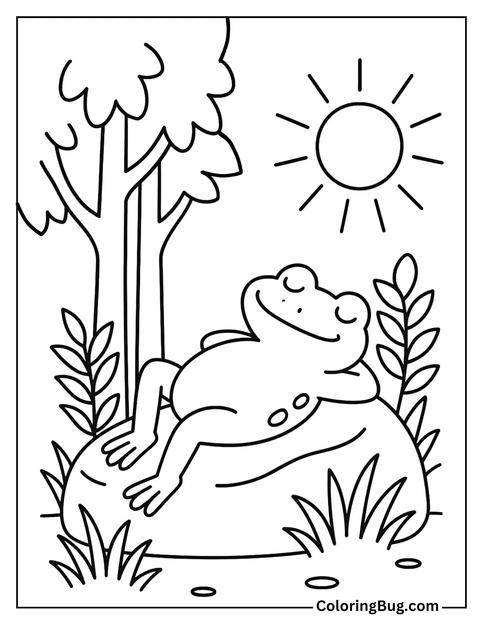 Frog Sunbathing on a Rock Coloring Sheet