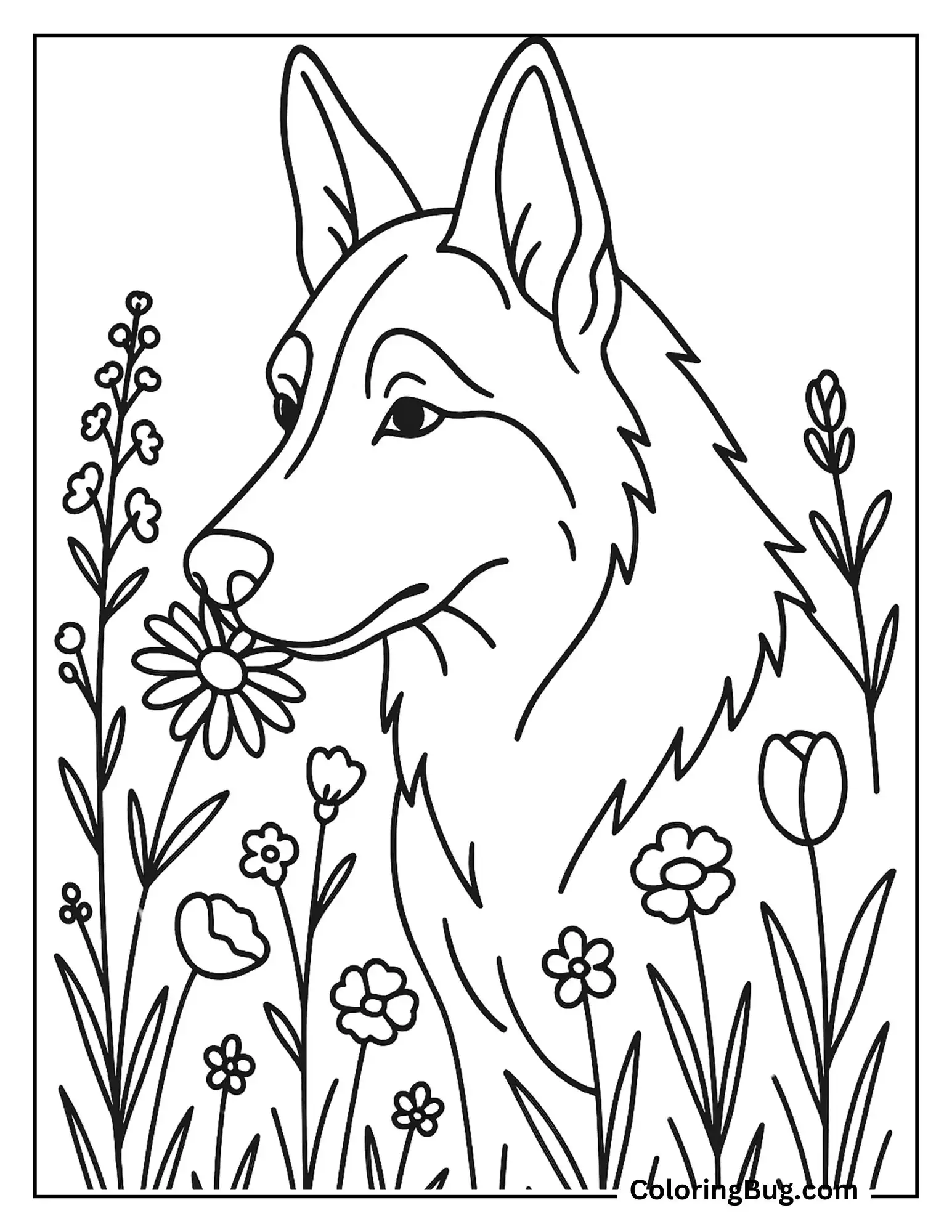 German Shepherd Sitting Inside Flowers Coloring Sheet
