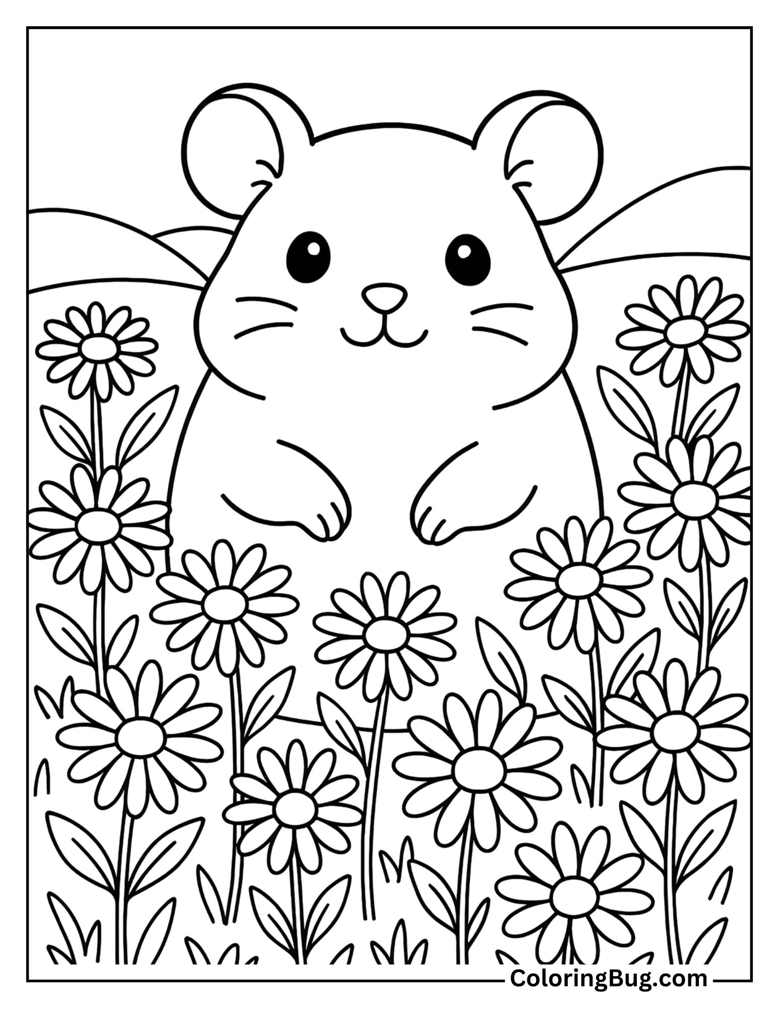 Hamster in a Field of Daisies Coloring Sheet