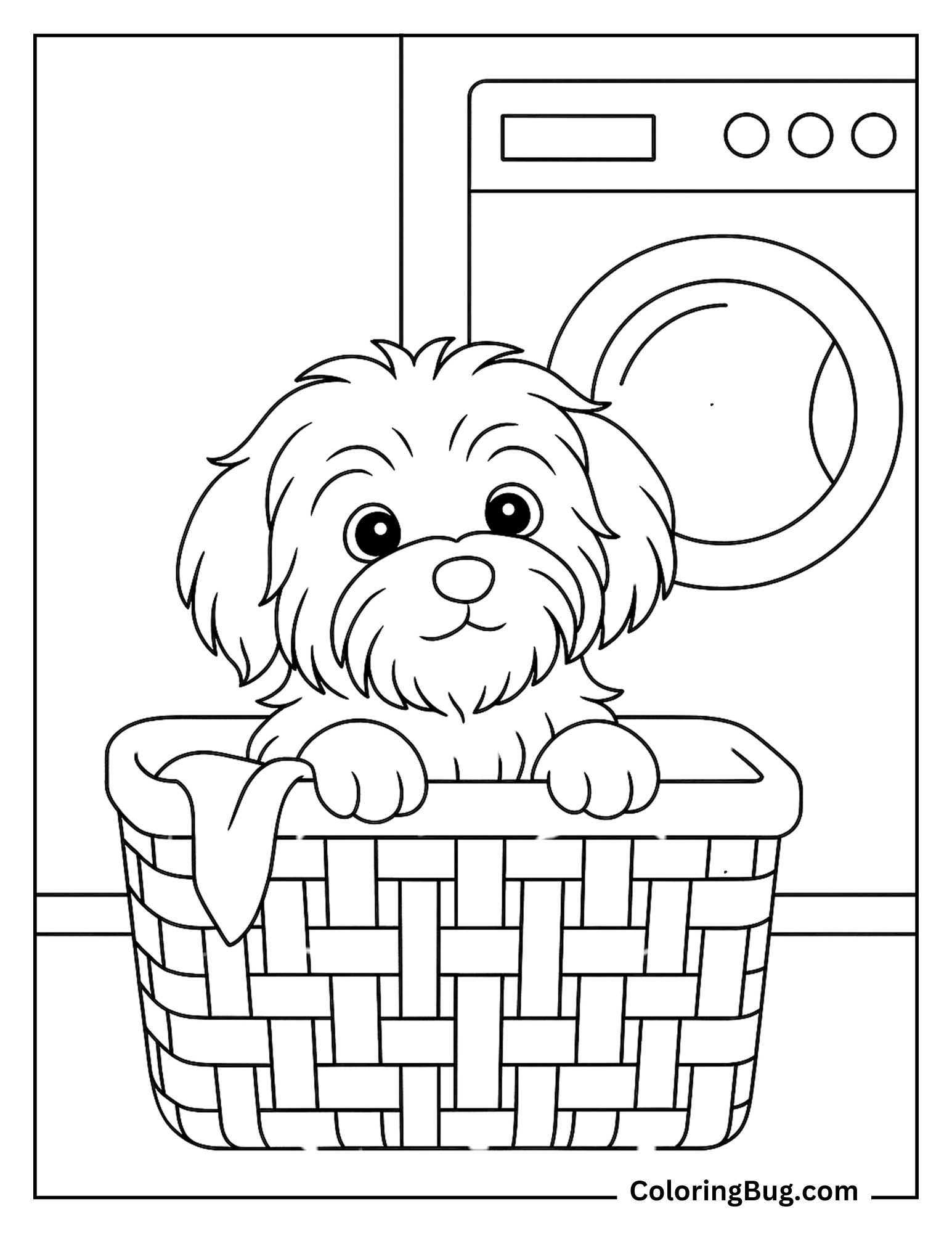 Havanese Puppy Peeking Out From Laundry Basket Coloring Sheet