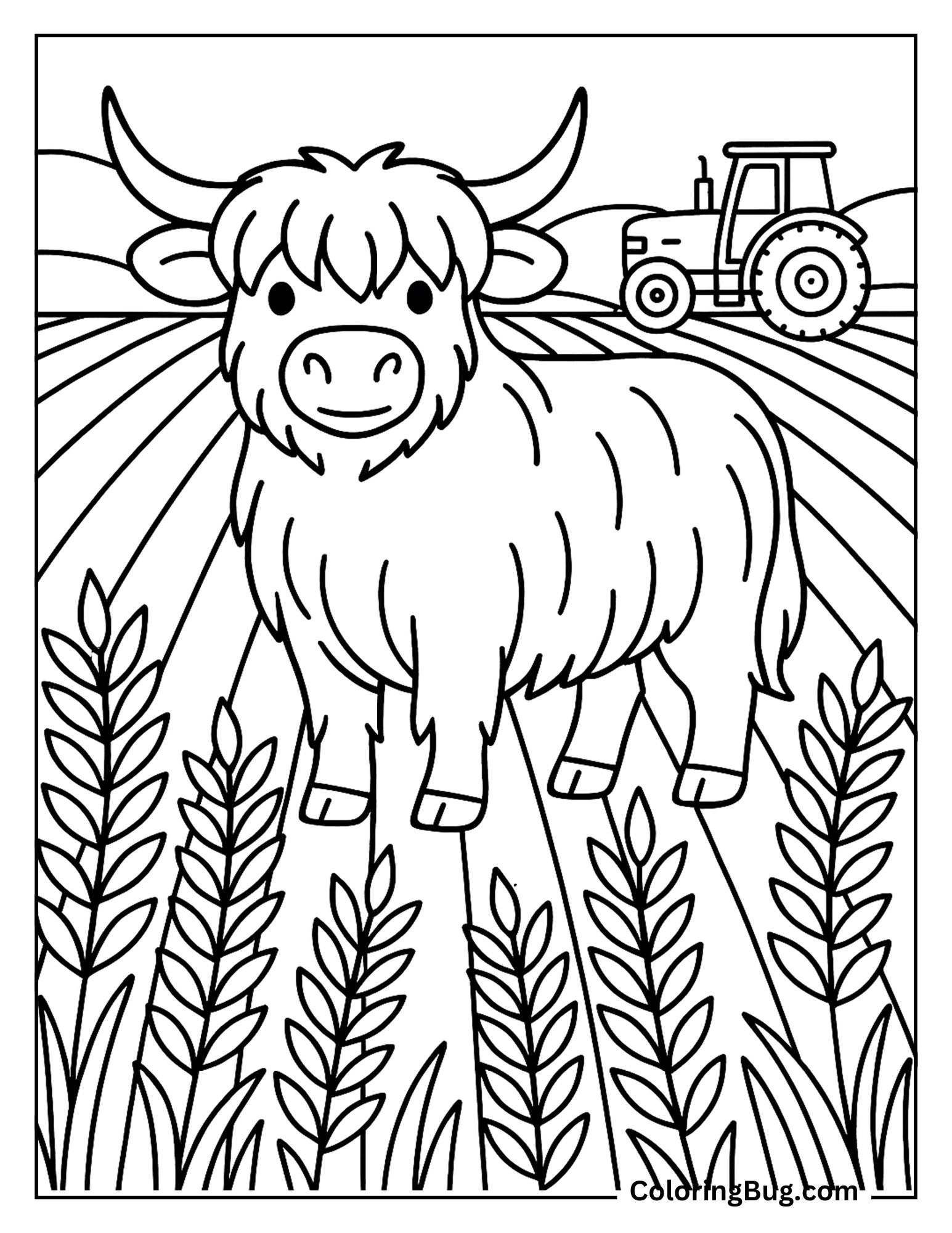 Highland Cow Standing in Crops Coloring Sheet