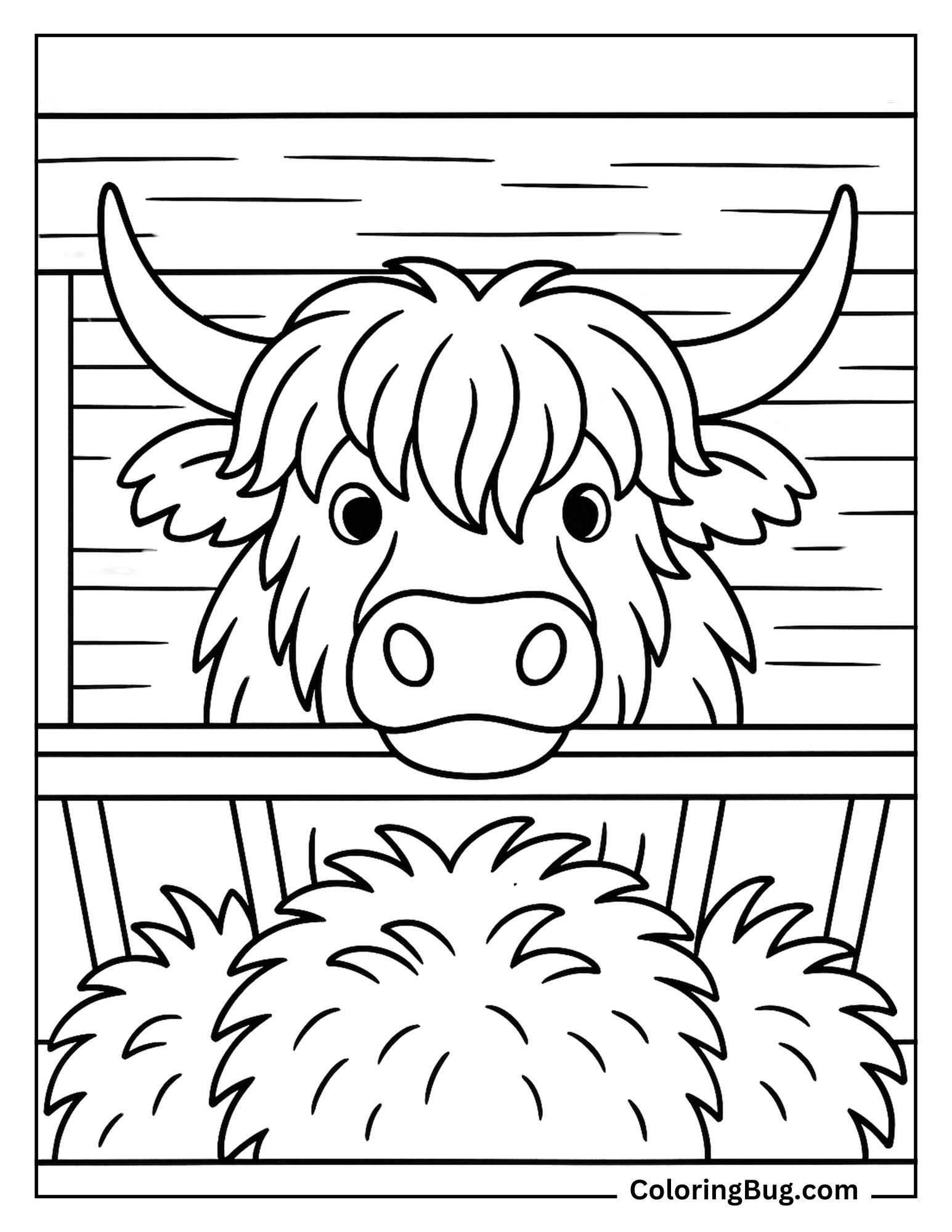 Highland Cow Sticking Head Through Feeding Trough Coloring Sheet