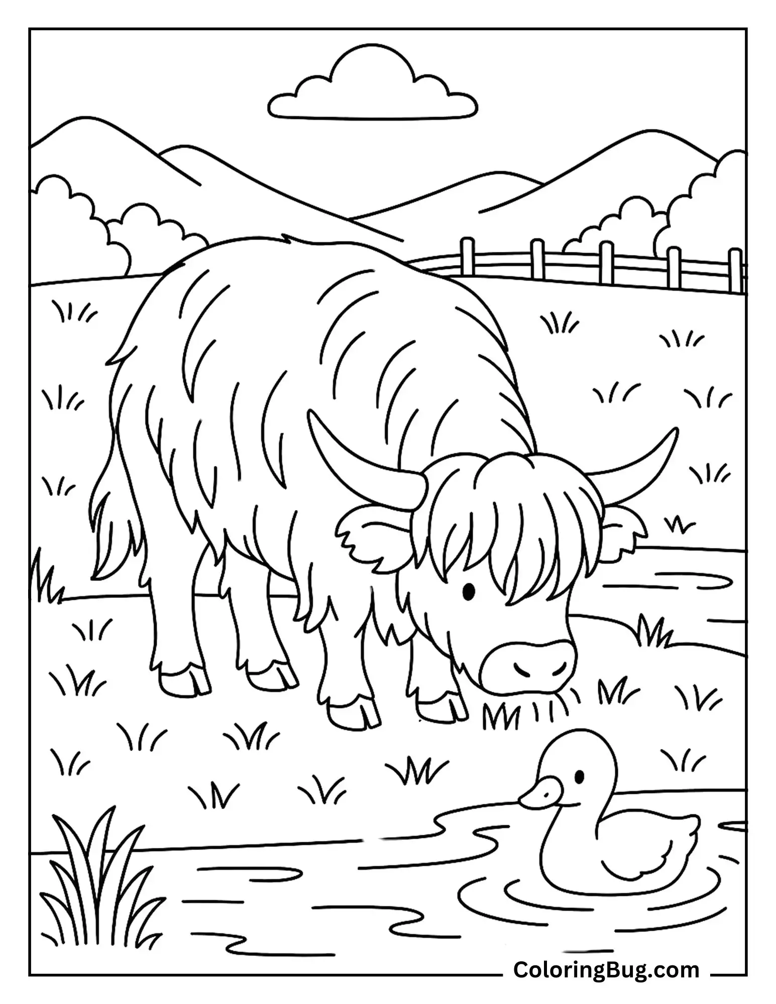Highland Cow Watching Duckling Swimming in Pond Coloring Sheet