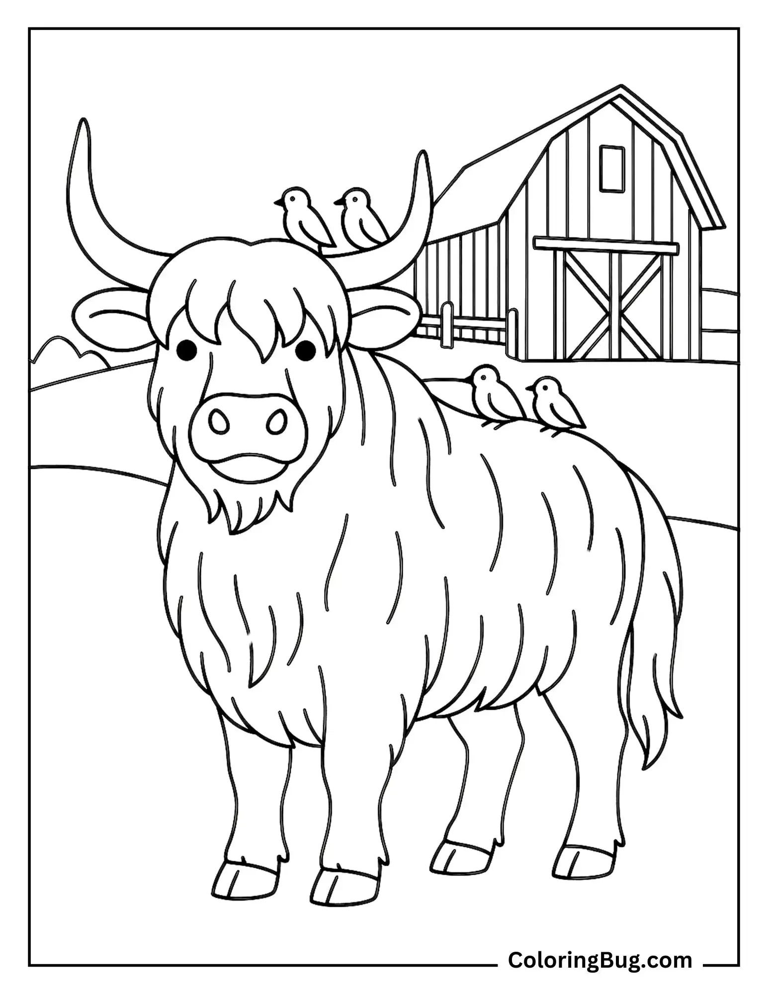 Highland Cow With Birds Perched on Its Back Coloring Sheet