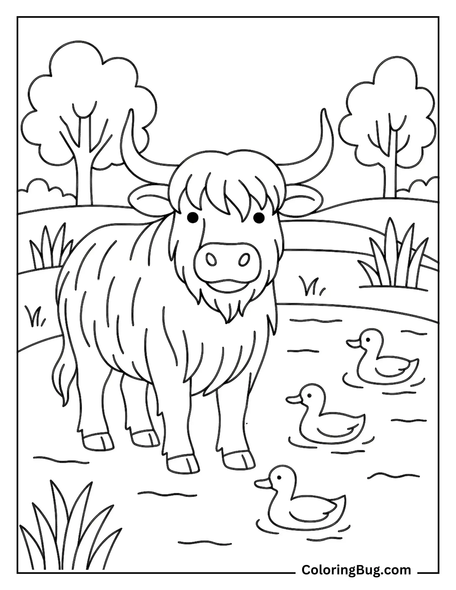 Highland Cow With Ducks Coloring Sheet