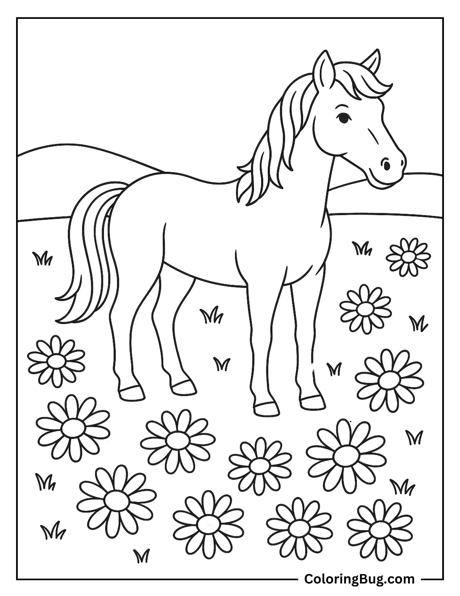 Horse Standing in Daisy Meadow Coloring Sheet