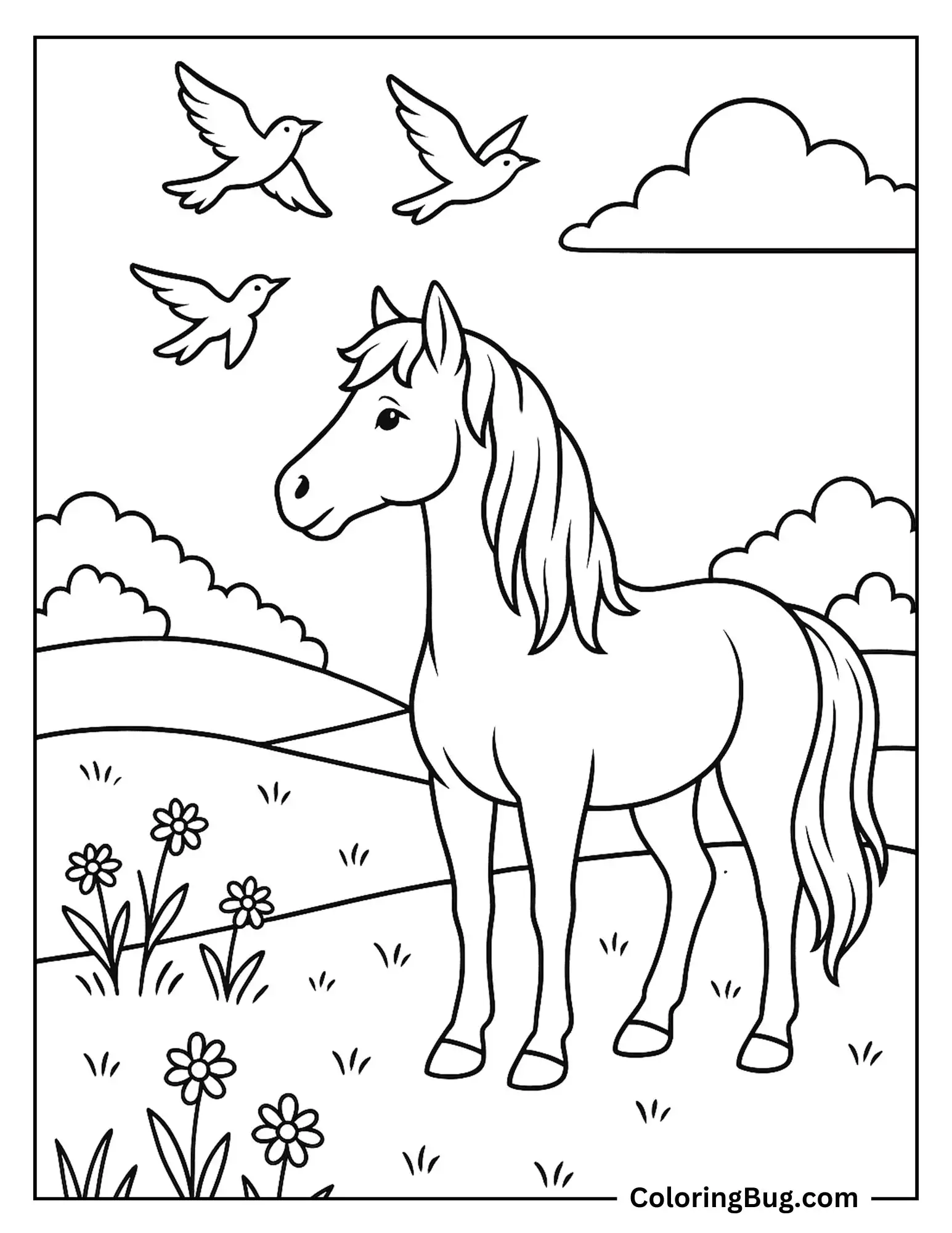 Horse Watching Birds Fly Over the Meadow Coloring Sheet