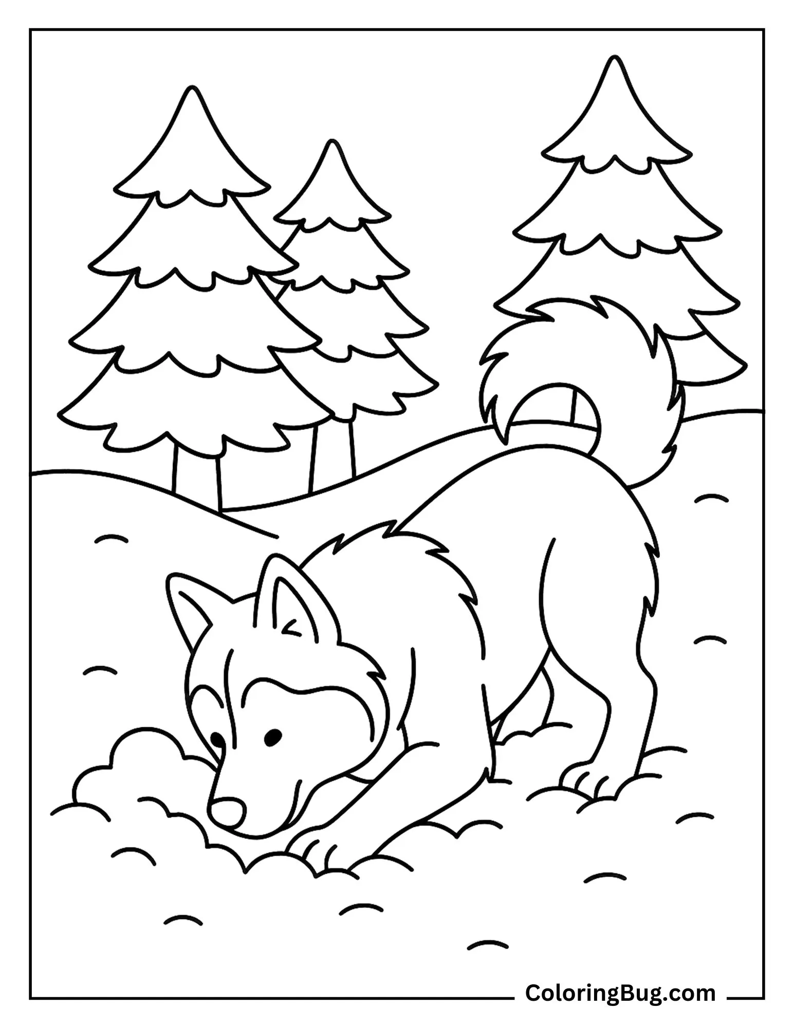Husky Digging Playfully in Deep Snow Near Pine Trees Coloring Sheet