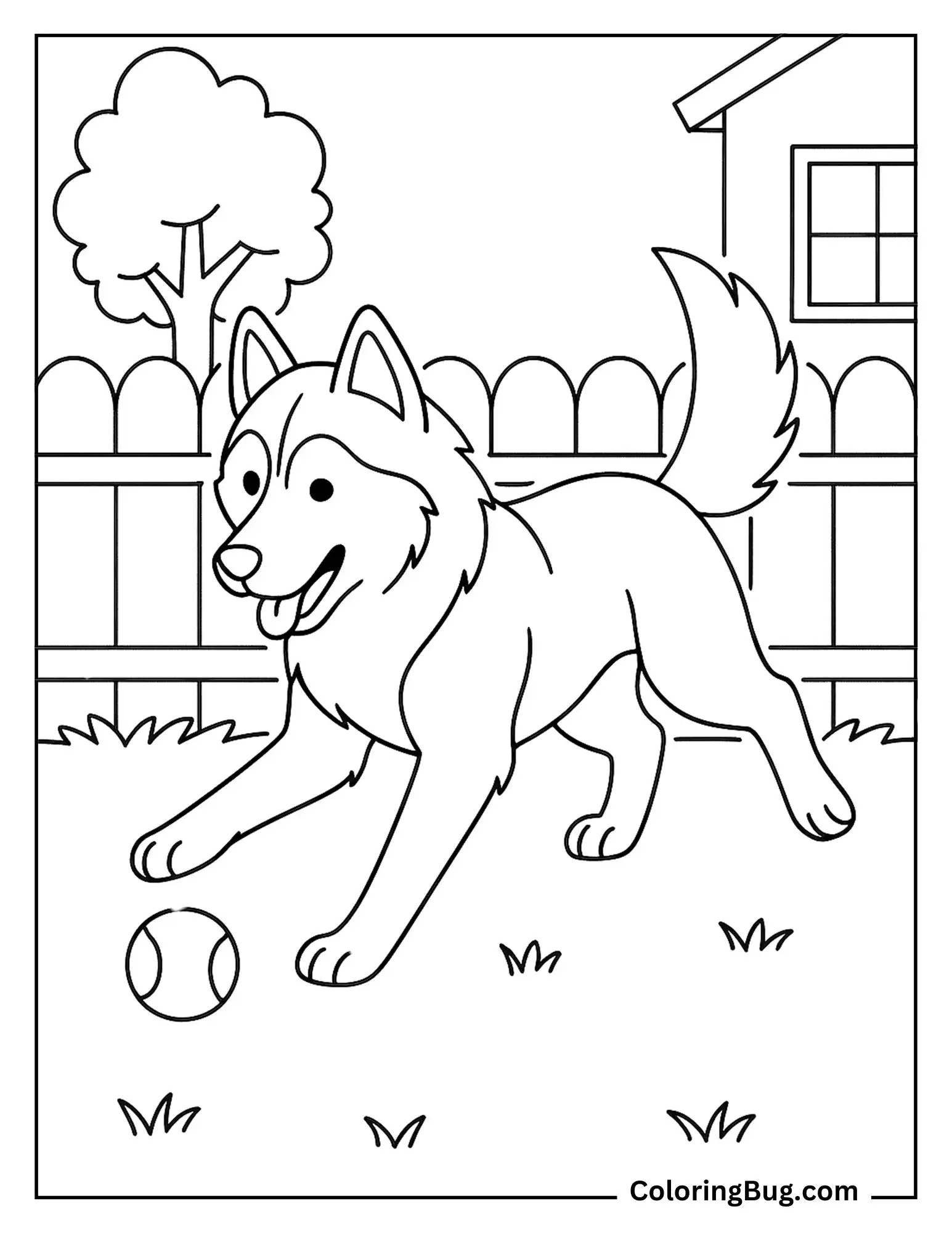 Husky Playing With Ball Coloring Sheet