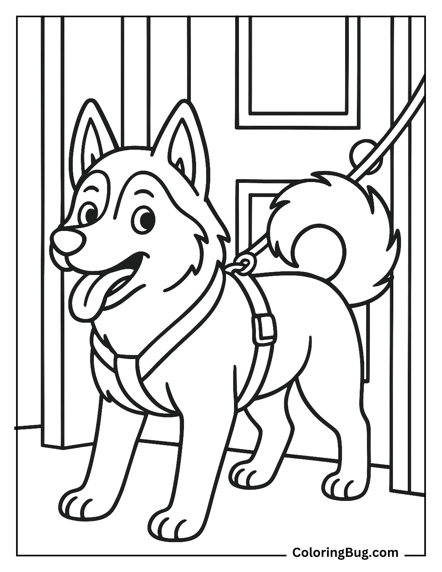 Husky Wearing a Harness Getting Ready for a Walk Coloring Sheet