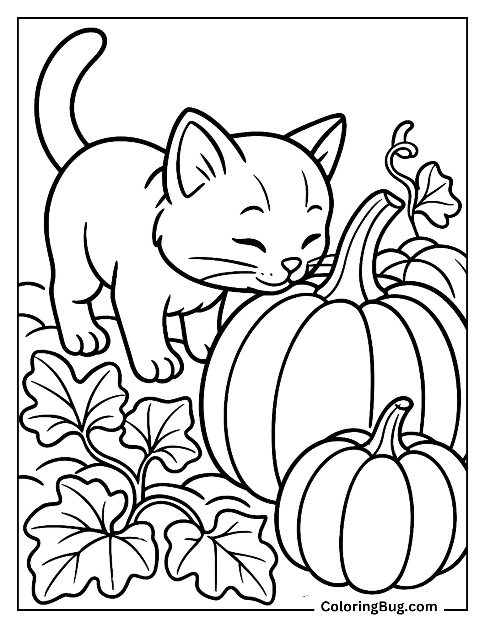 Kitten Sniffing a Pumpkin in a Patch Coloring Sheet