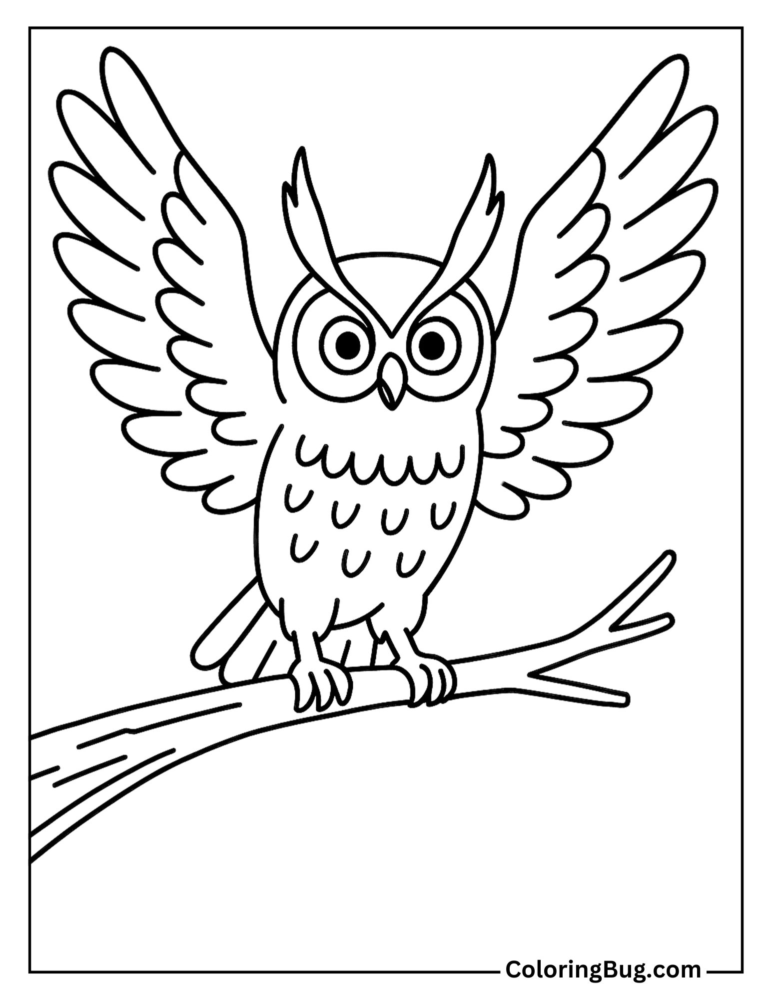 Long-Eared Owl Flapping Wings on a Branch