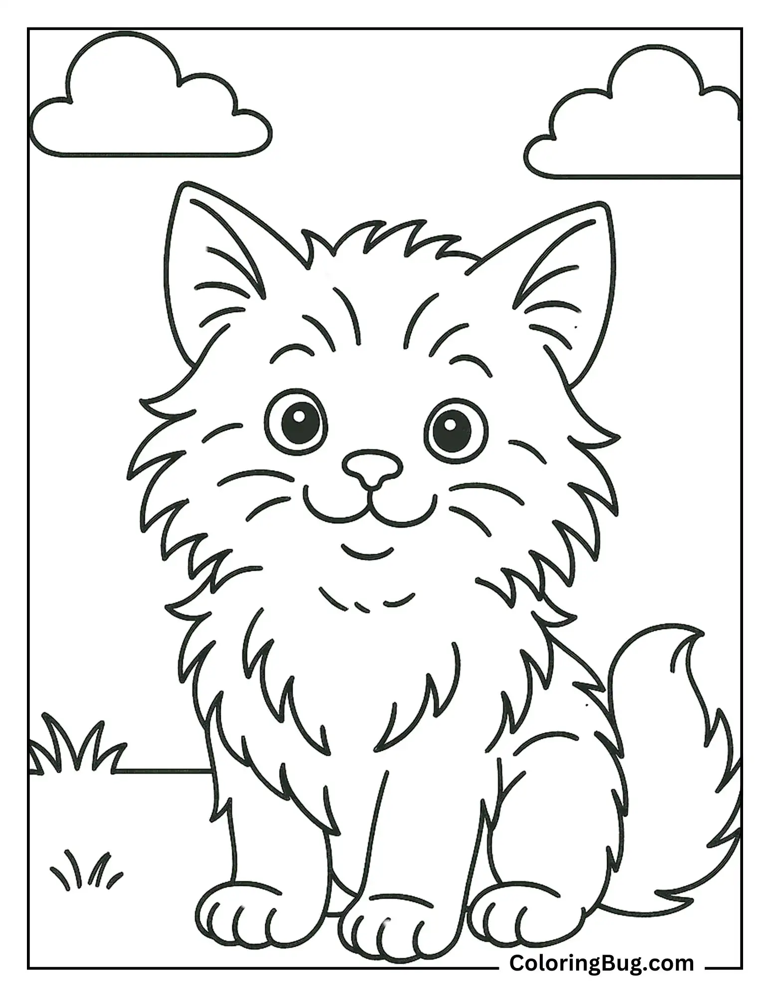 Maine Coon kitten coloring Sheet