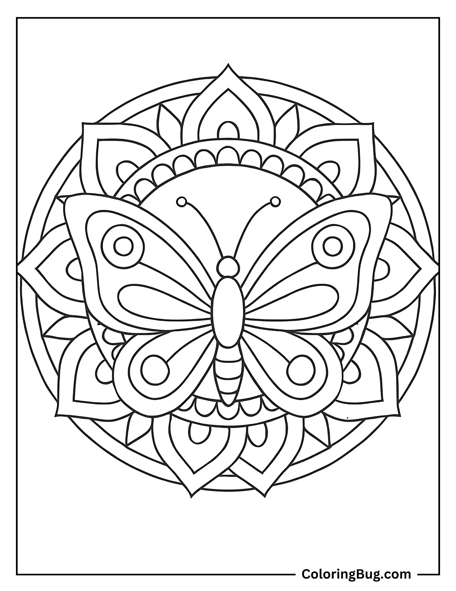 Mandala Butterfly Coloring sheet