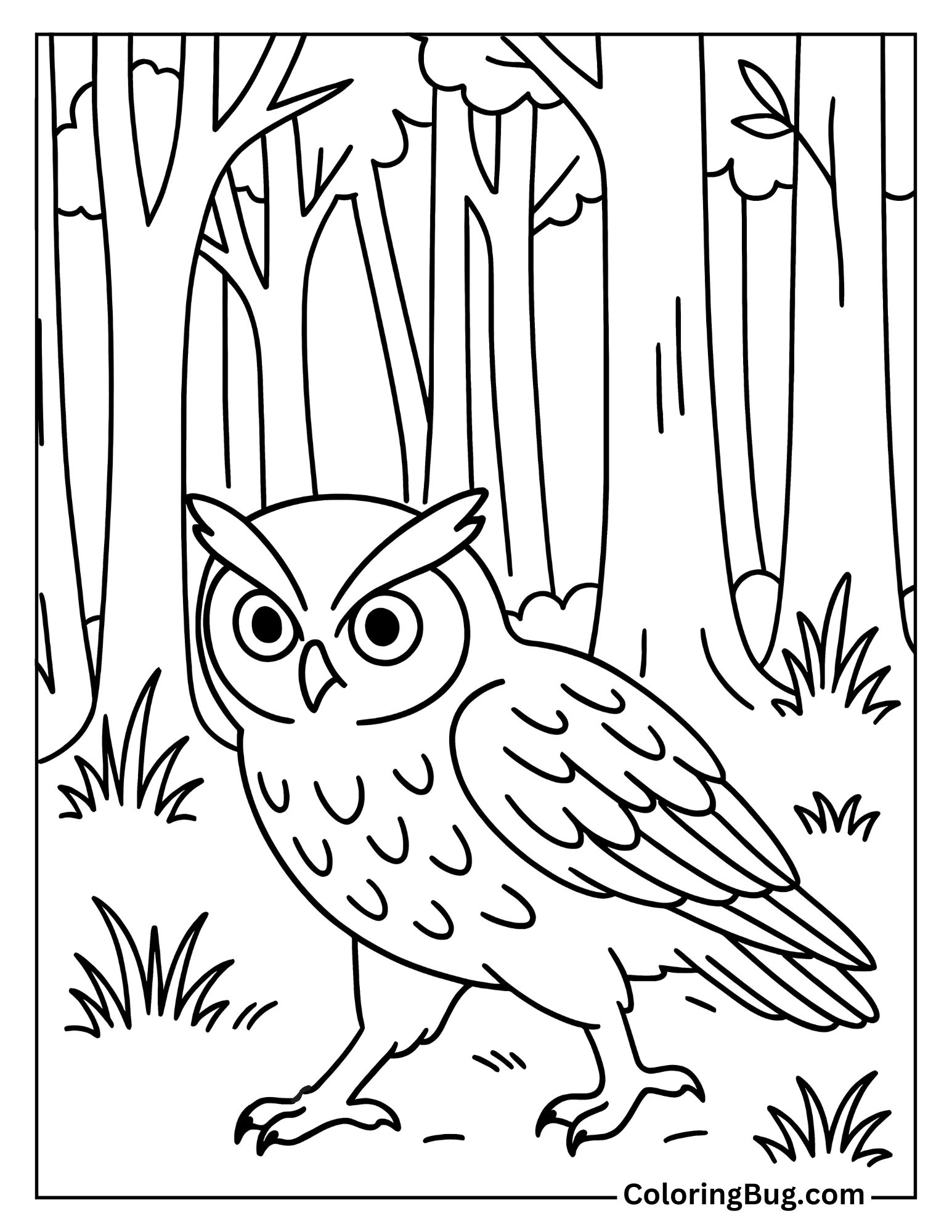 Owl Walking in Forest Coloring Sheet