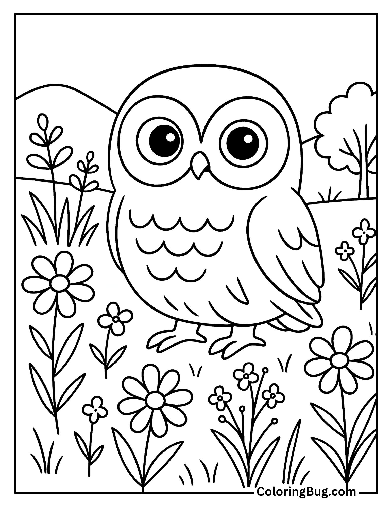 Owl in Wild Flowers Meadow Coloring Sheet