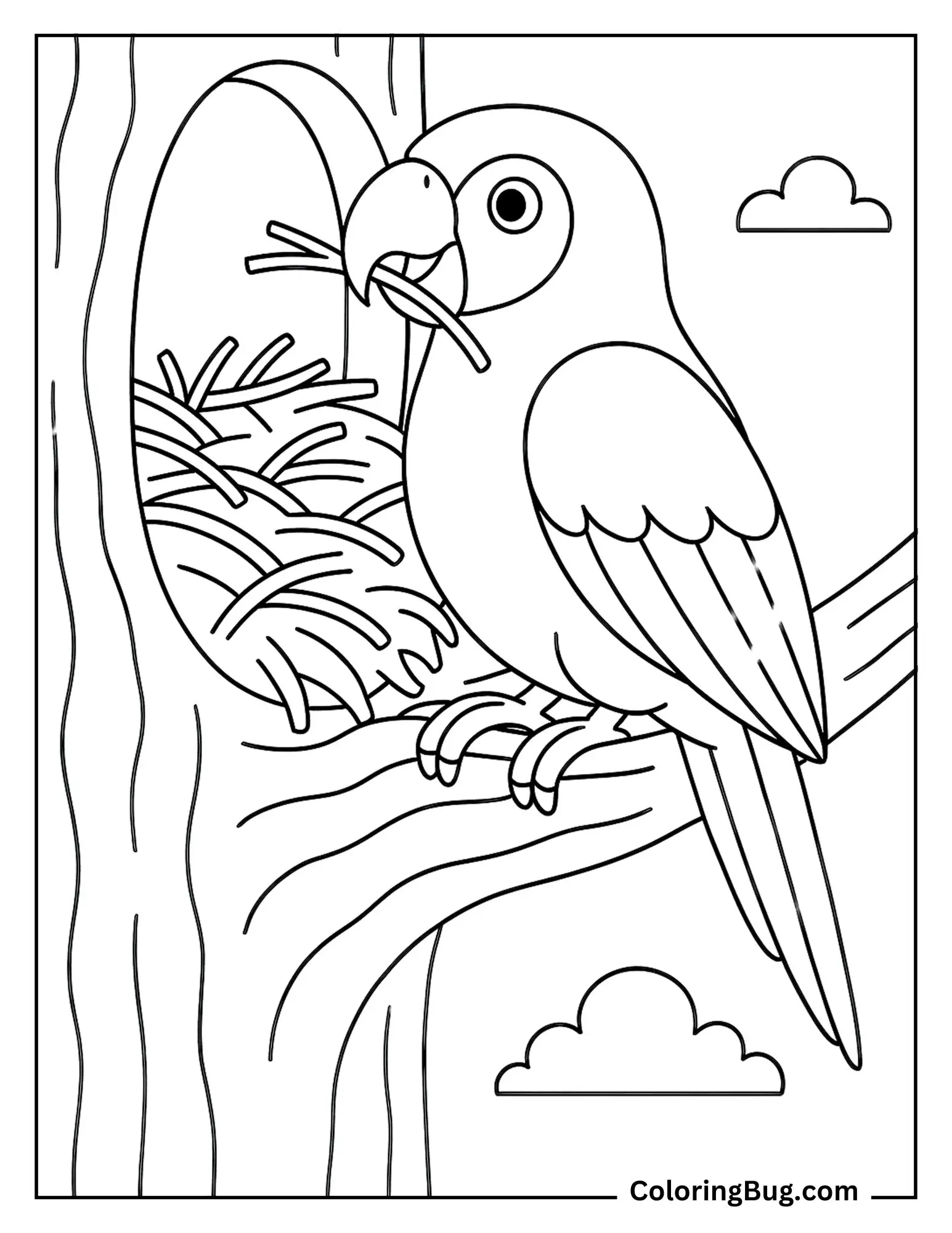 Parrot Building Nest on Tree Hole Coloring Sheet