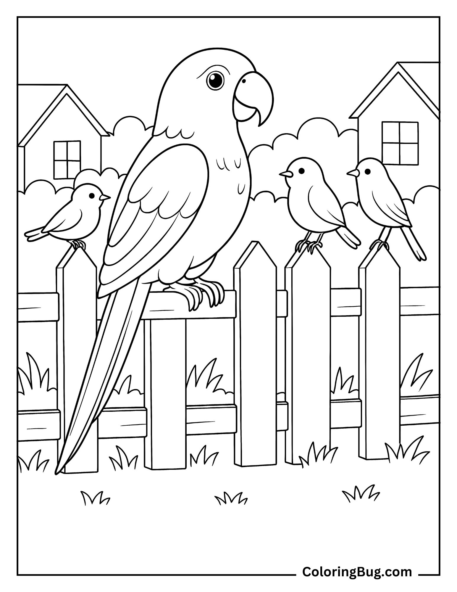 Parrot Sitting on Fence With Other Friends Birds Coloring Sheet