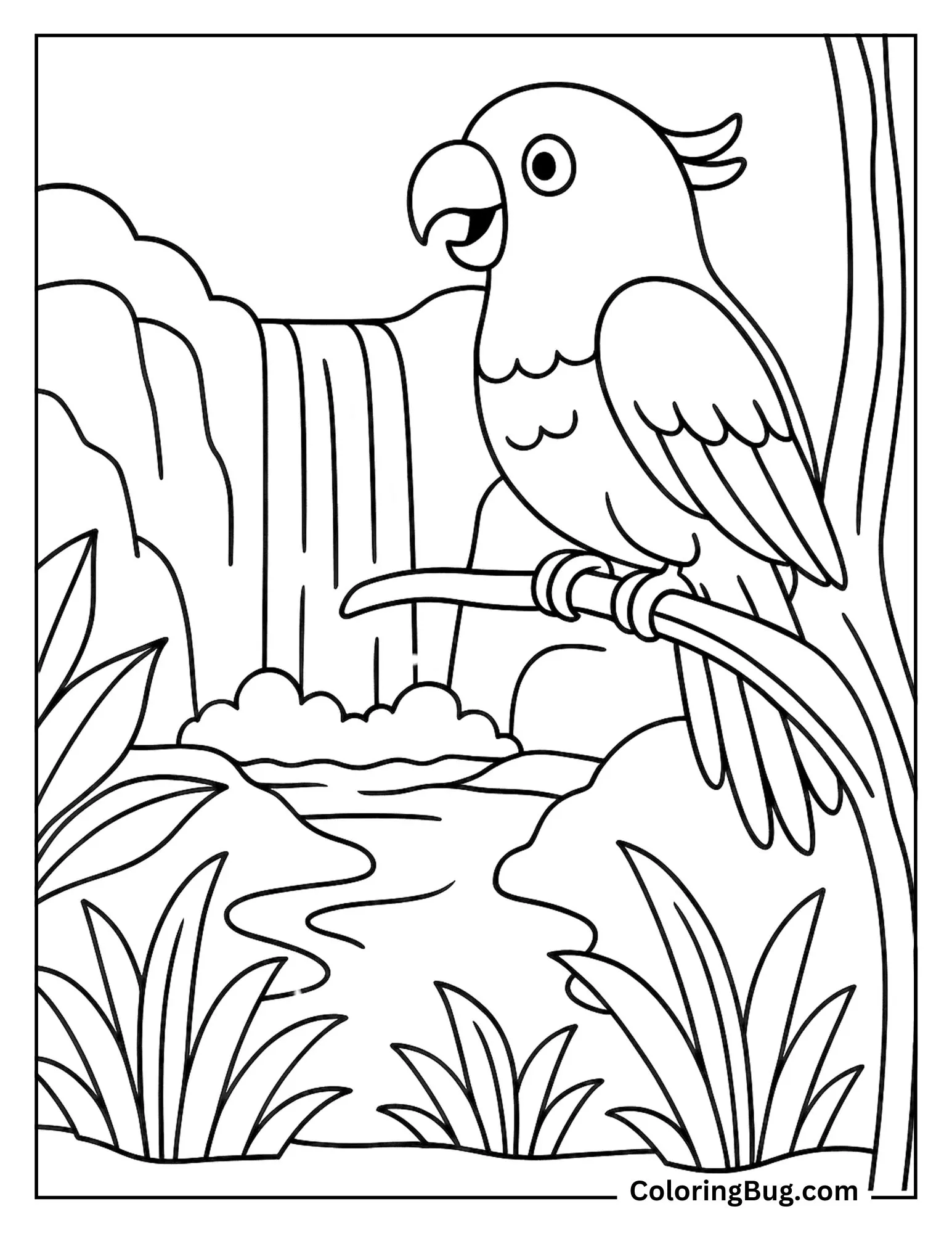 Parrot Watching a Waterfall From a High Branch Coloring Sheet