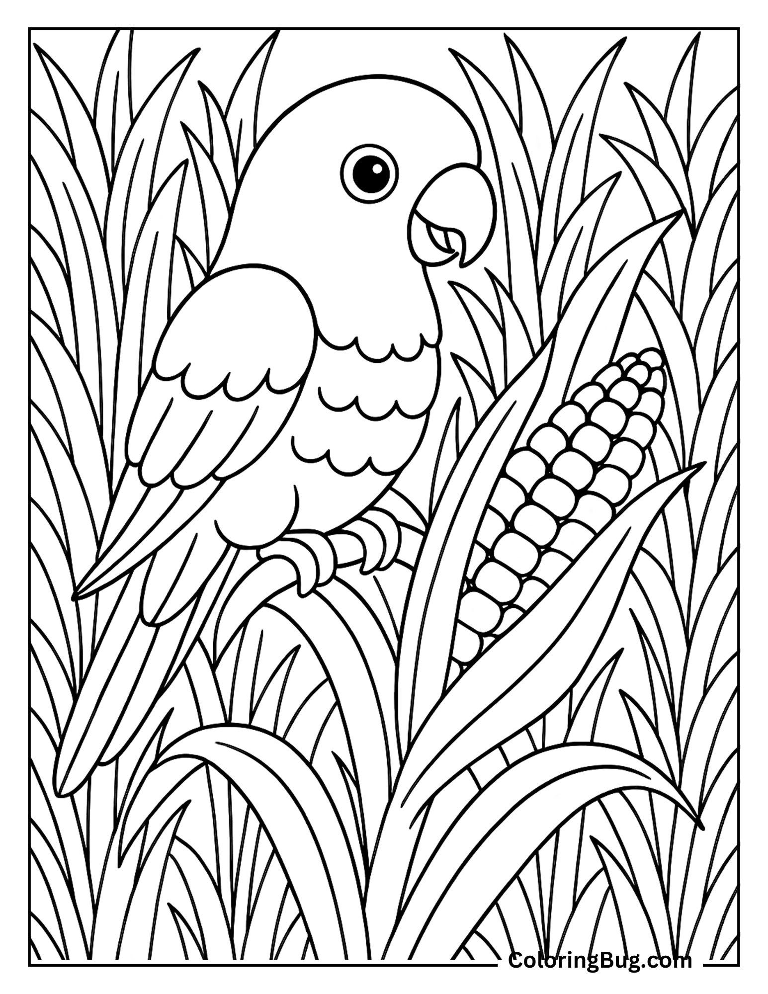 Parrot in Corn Field Coloring Sheet