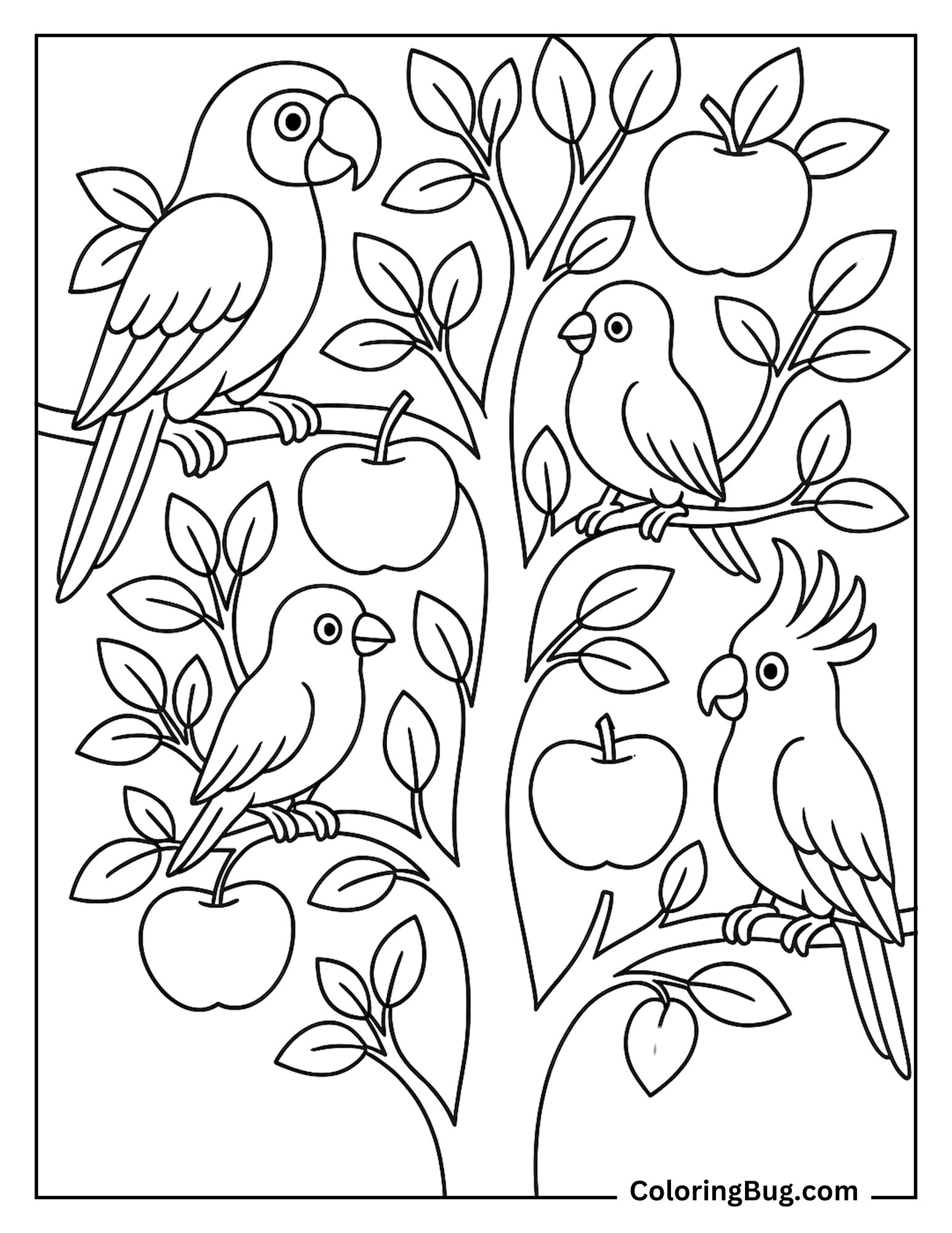 Parrots Perched on Apple Tree Coloring Sheet
