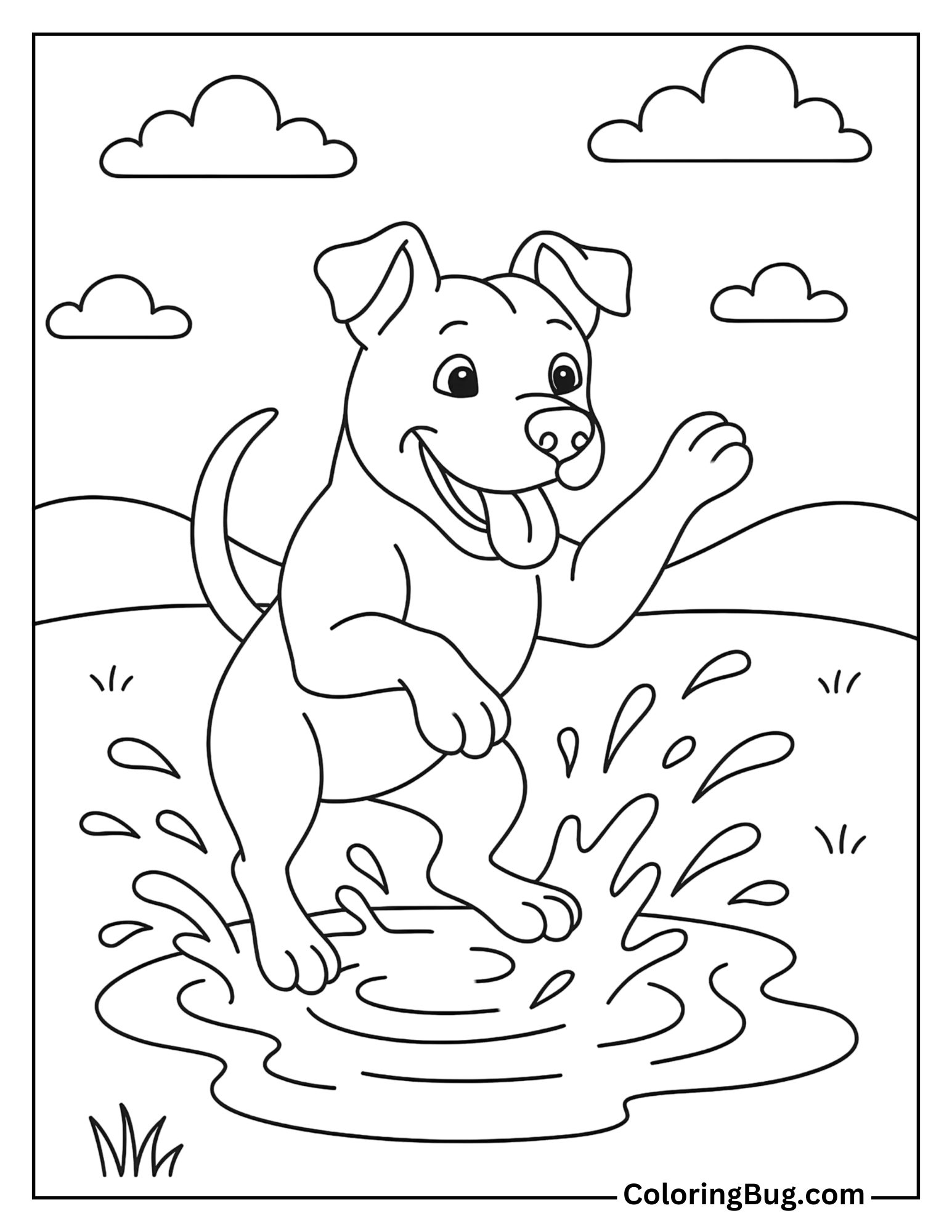 Pit Bull Playing in a Puddle Coloring Sheet