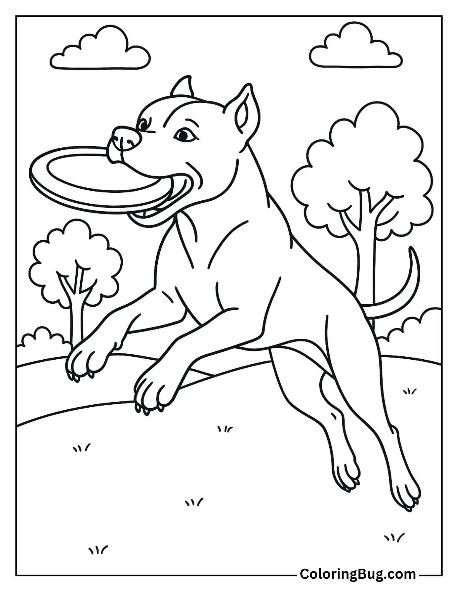 Pitbull Catching a Frisbee Mid-Air Coloring Sheet