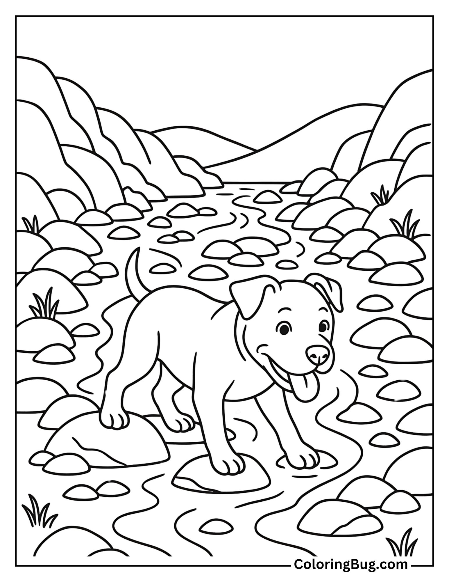 Pitbull Exploring a Rocky Stream Coloring Sheet