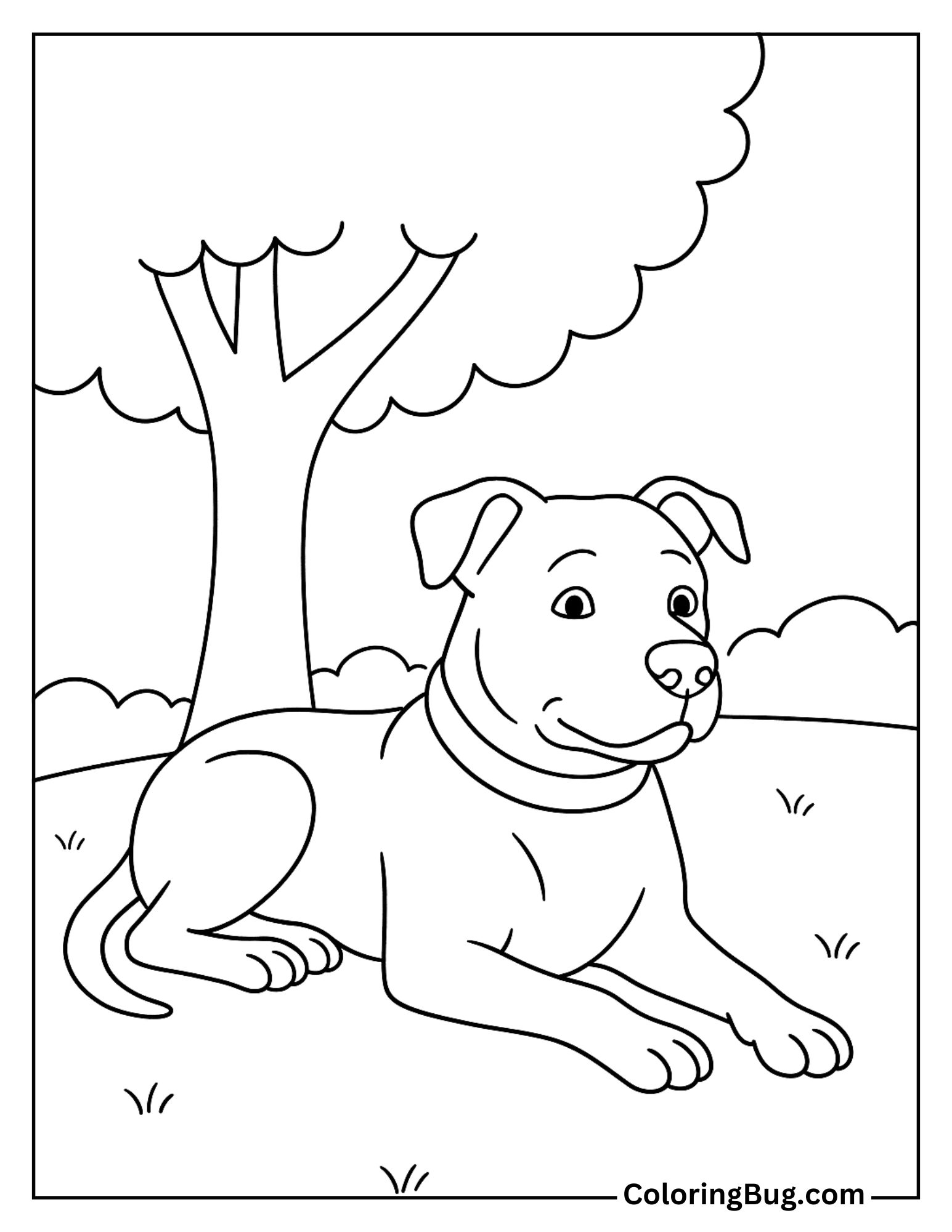 Pitbull Resting in the Shade Under a Tree Coloring Sheet