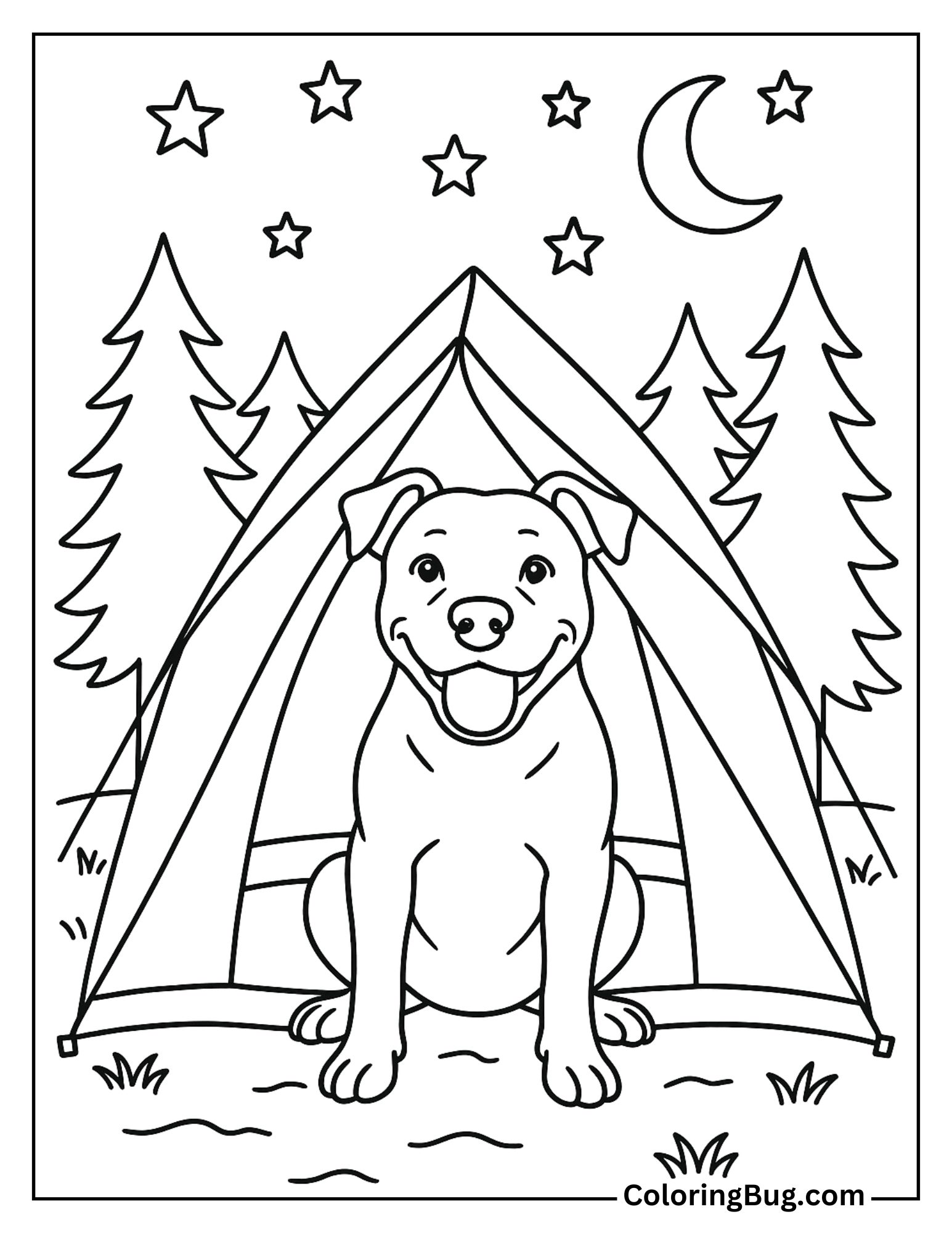 Pitbull Sitting Out of a Camping Tent Under the Stars Coloring Sheet