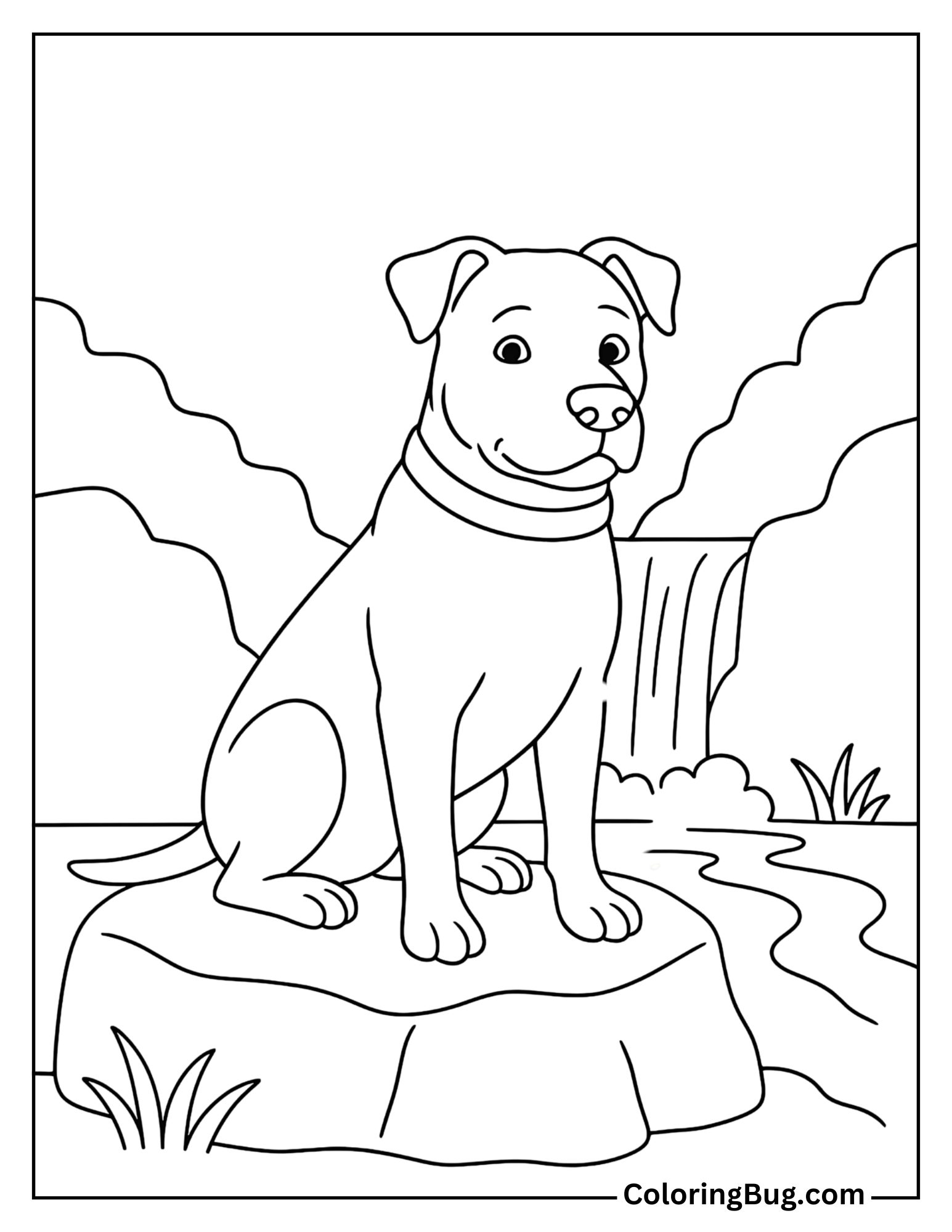 Pitbull Sitting on Stone Near Waterfall Coloring Sheet