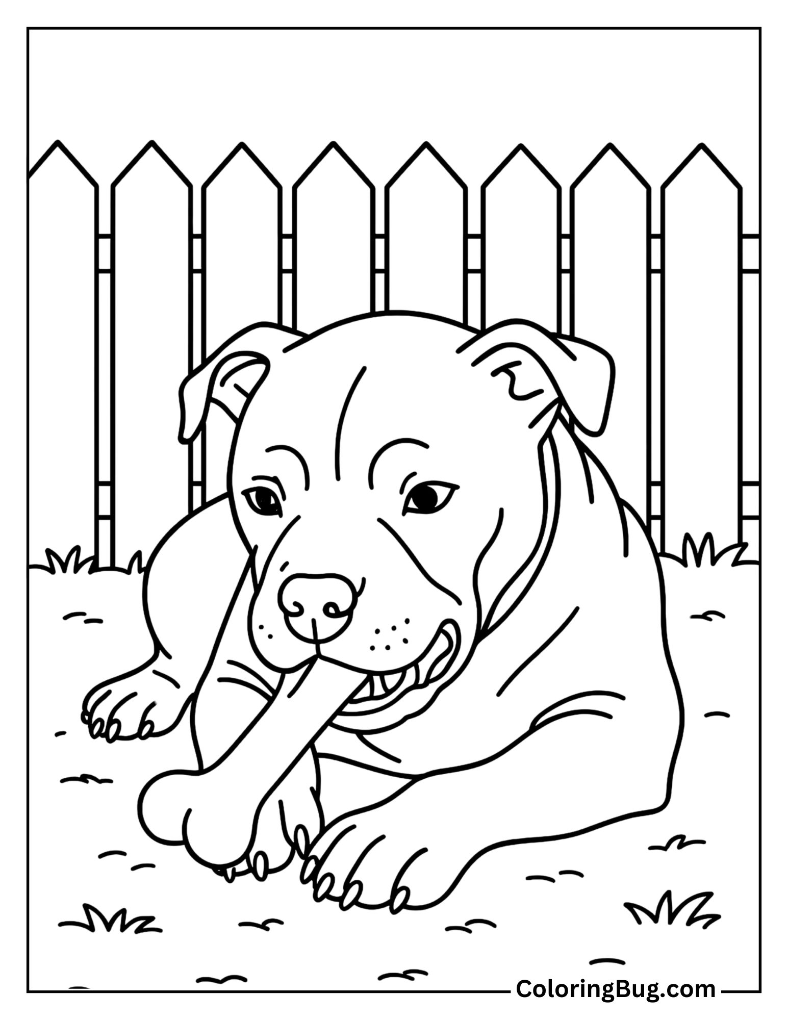 Pitbull in the Backyard Chewing a Bone Coloring Sheet