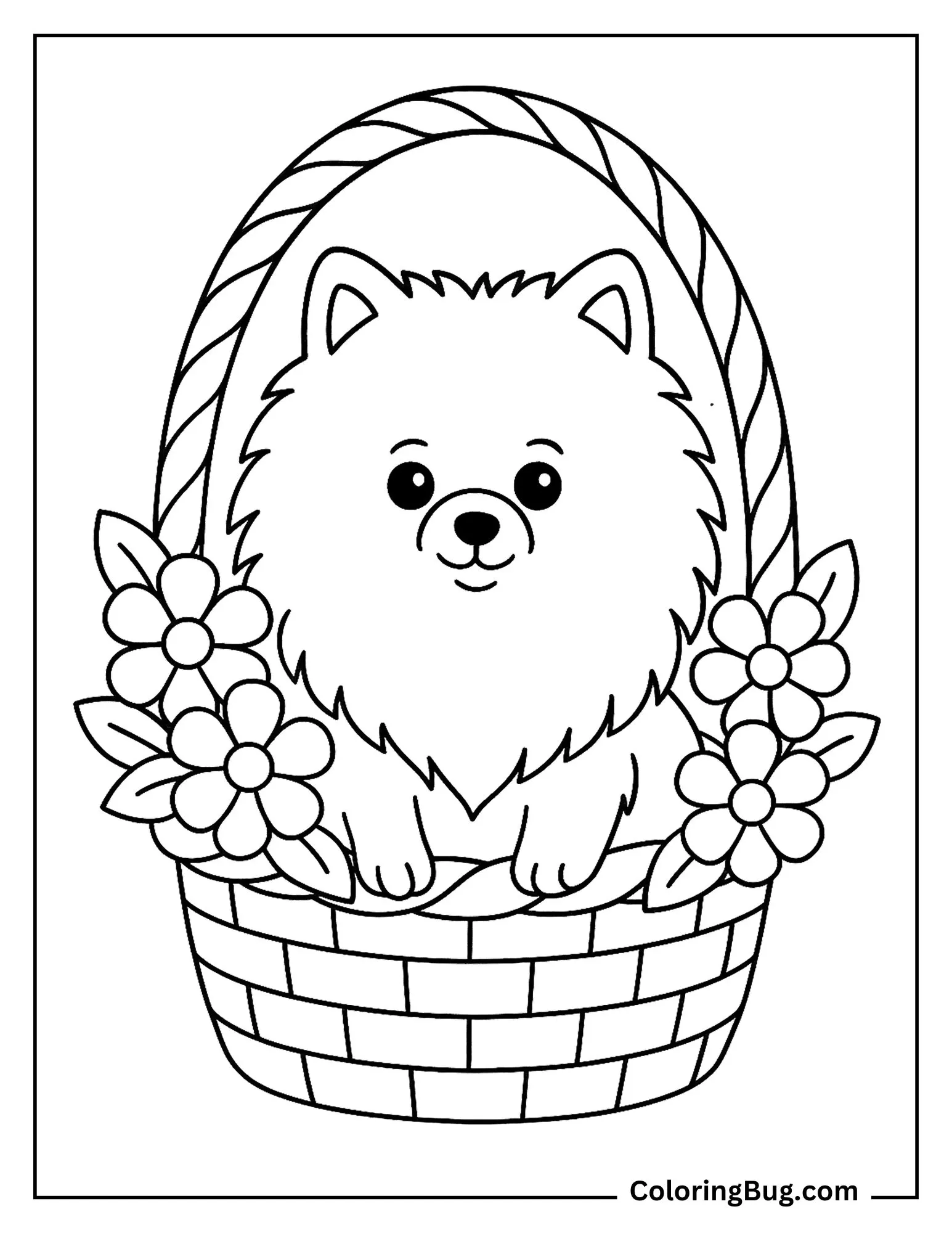 Pomeranian puppy sitting in a basket coloring Sheet