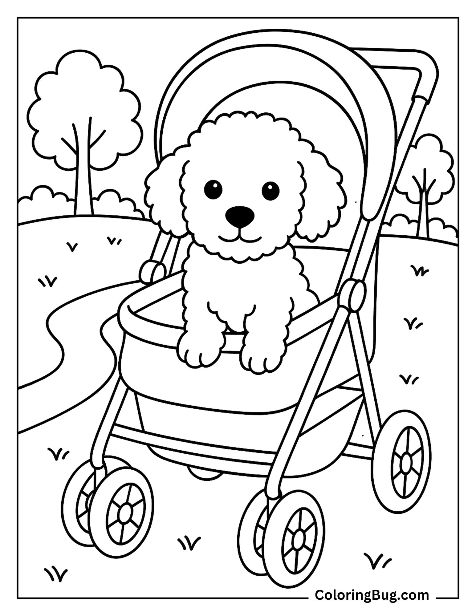 Poodle Puppy Sitting in Stroller at the Park